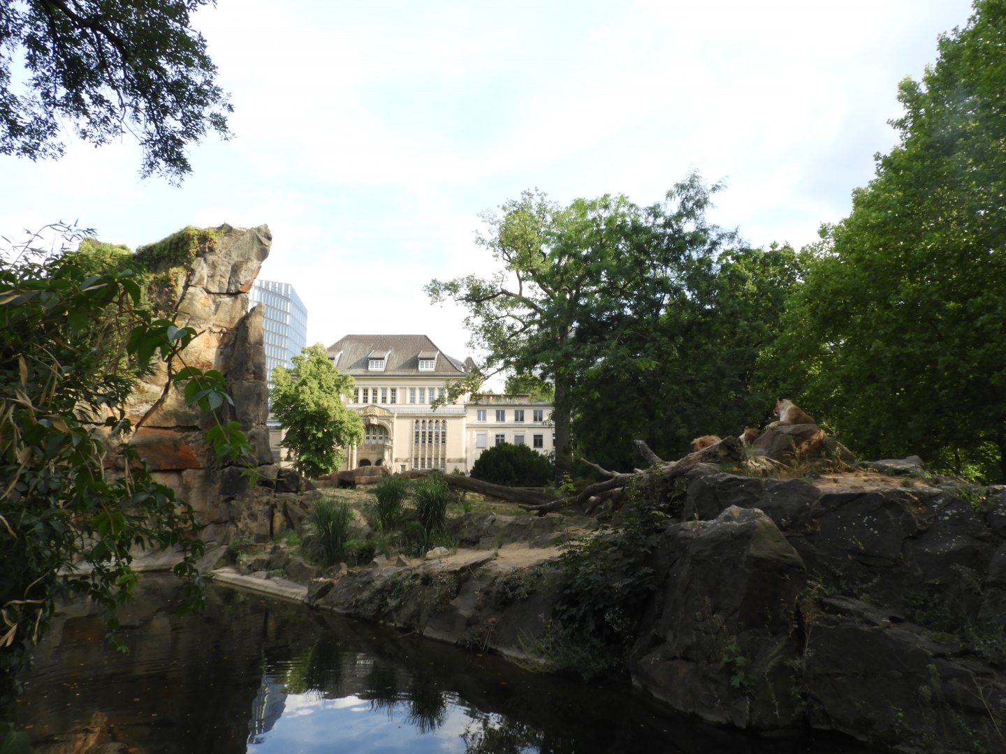[2022] View of lion enclosure and aquarium building