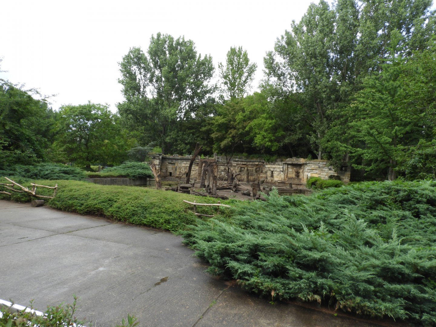 [2022] View towards Barbary macaque enclosure