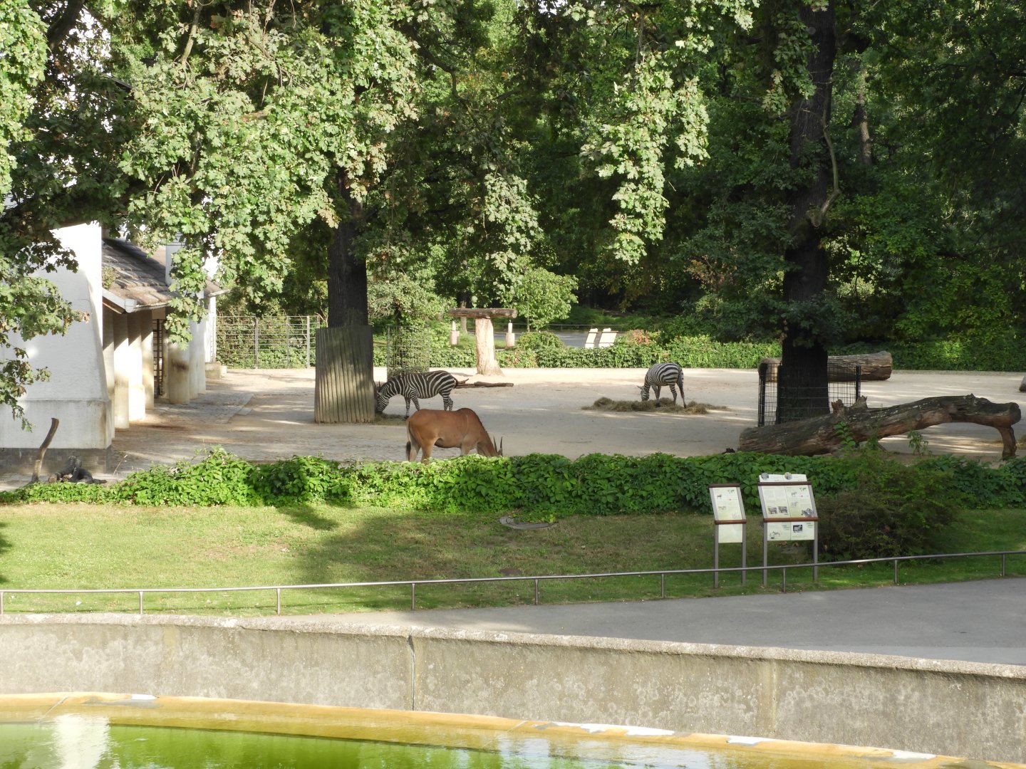 [2022] View towards eland and zebra enclosure