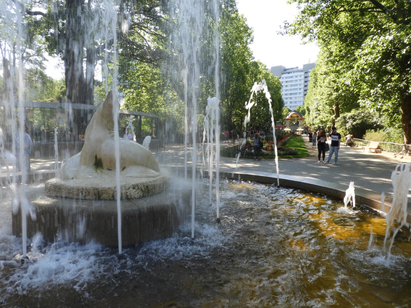 [2022] Water fountain and general view