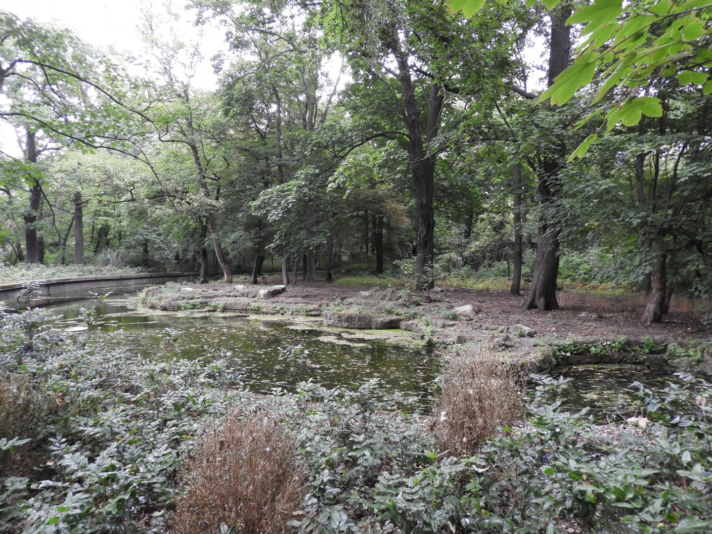 [2022] Wolf enclosure