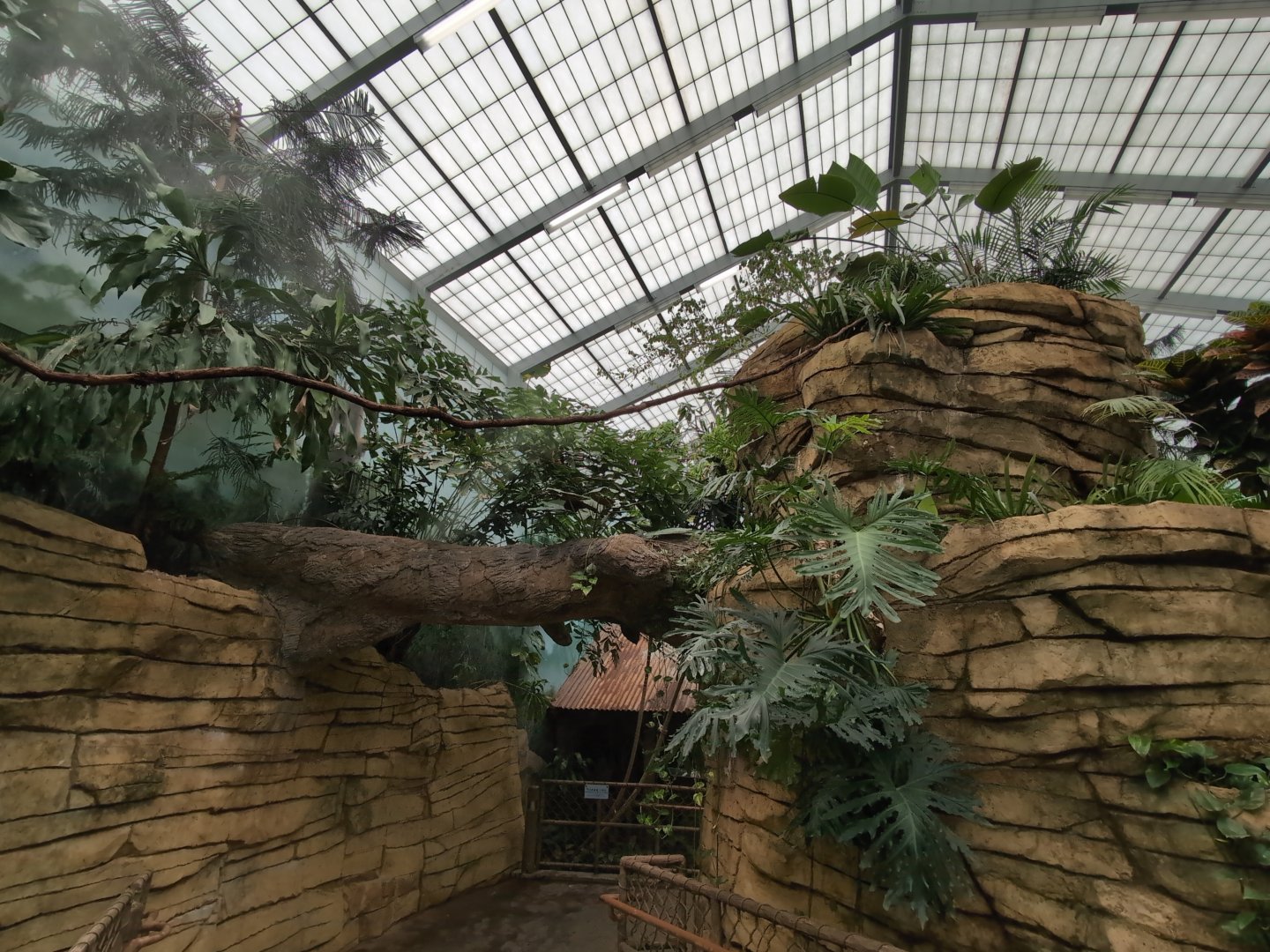 2024-05-15-vilas-aviary-flight-room-01