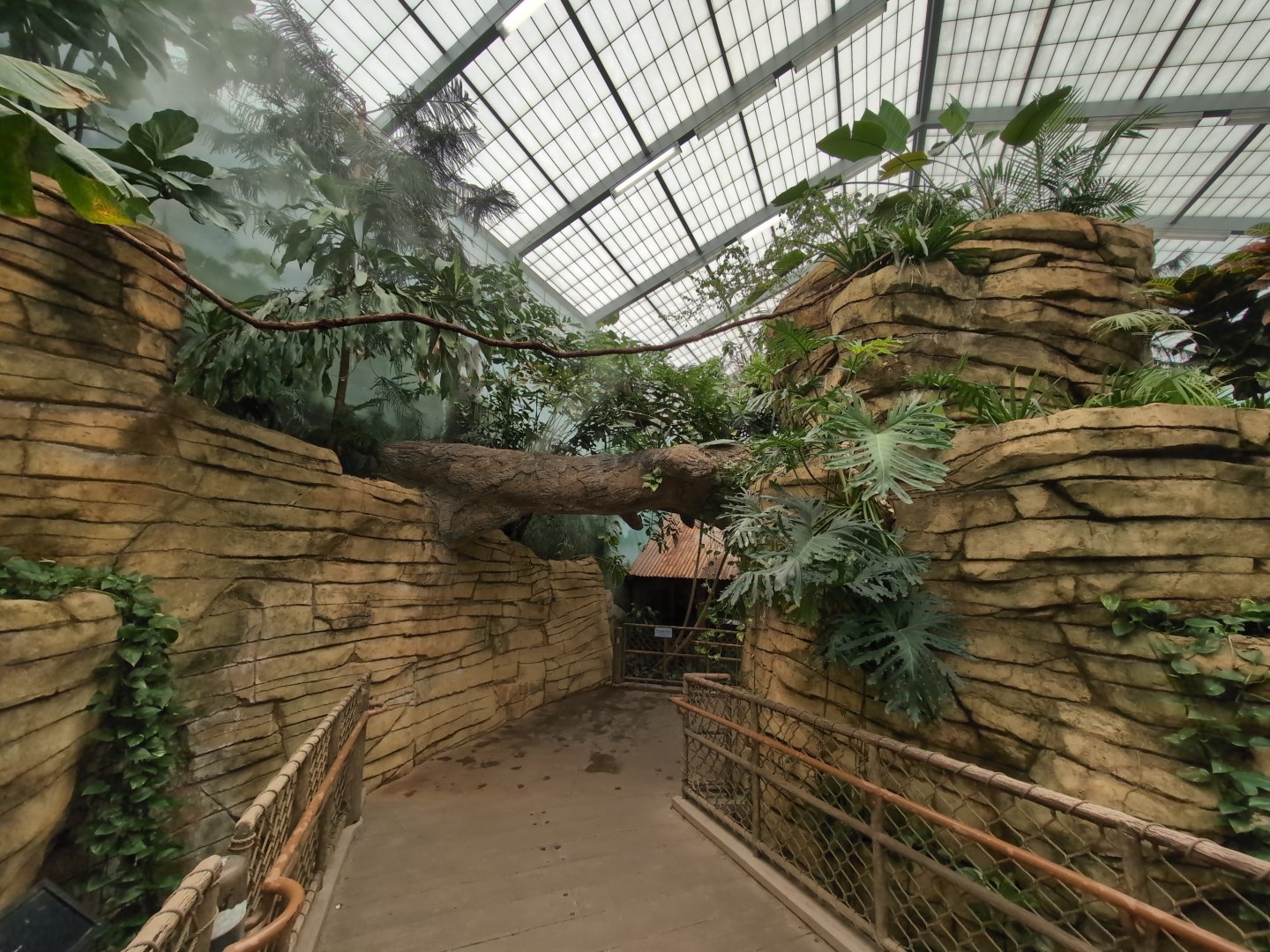 2024-05-15-vilas-aviary-flight-room-02