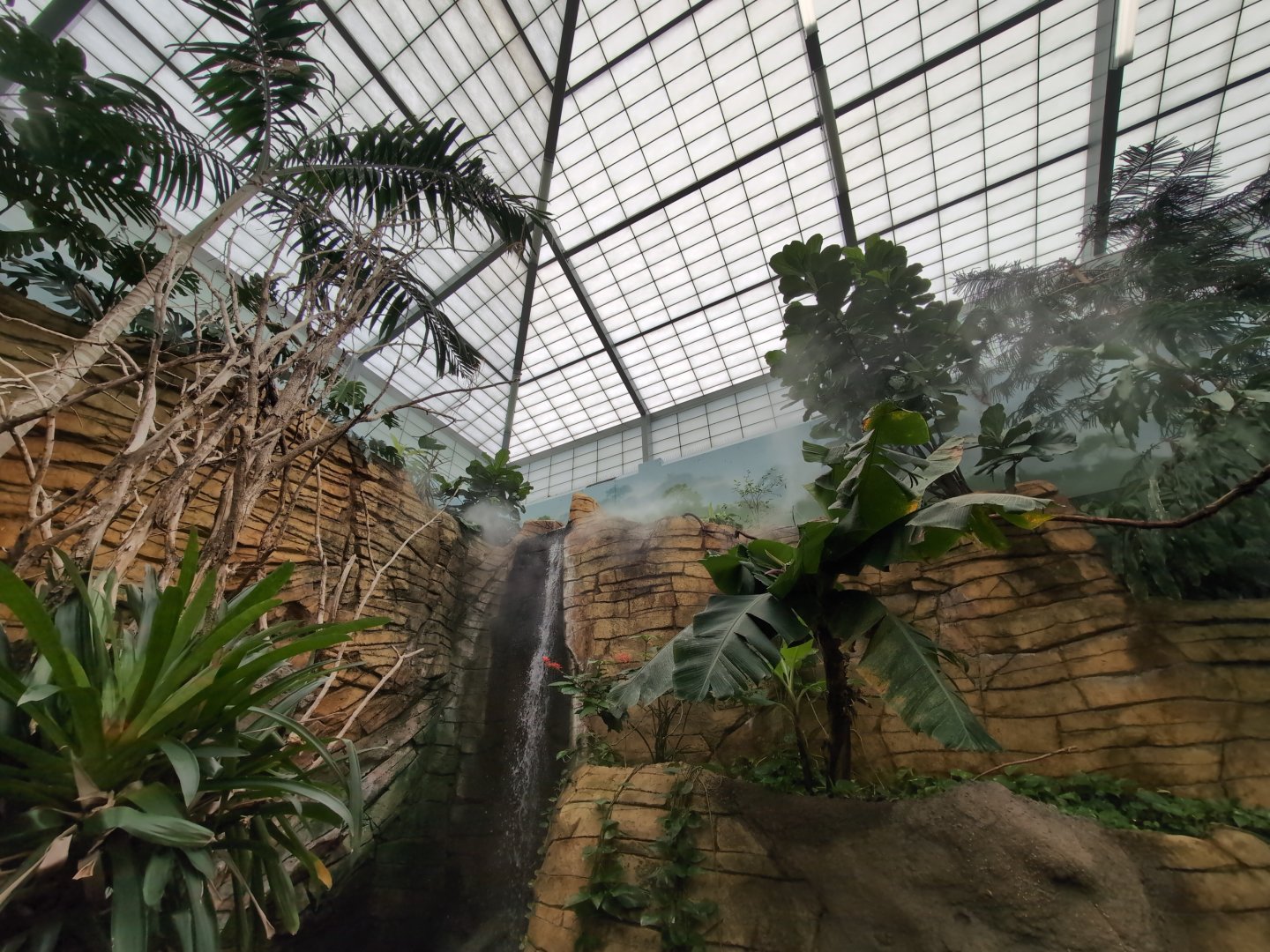 2024-05-15-vilas-aviary-flight-room-04