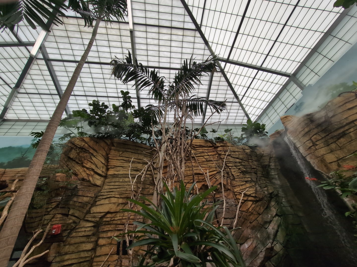 2024-05-15-vilas-aviary-flight-room-05