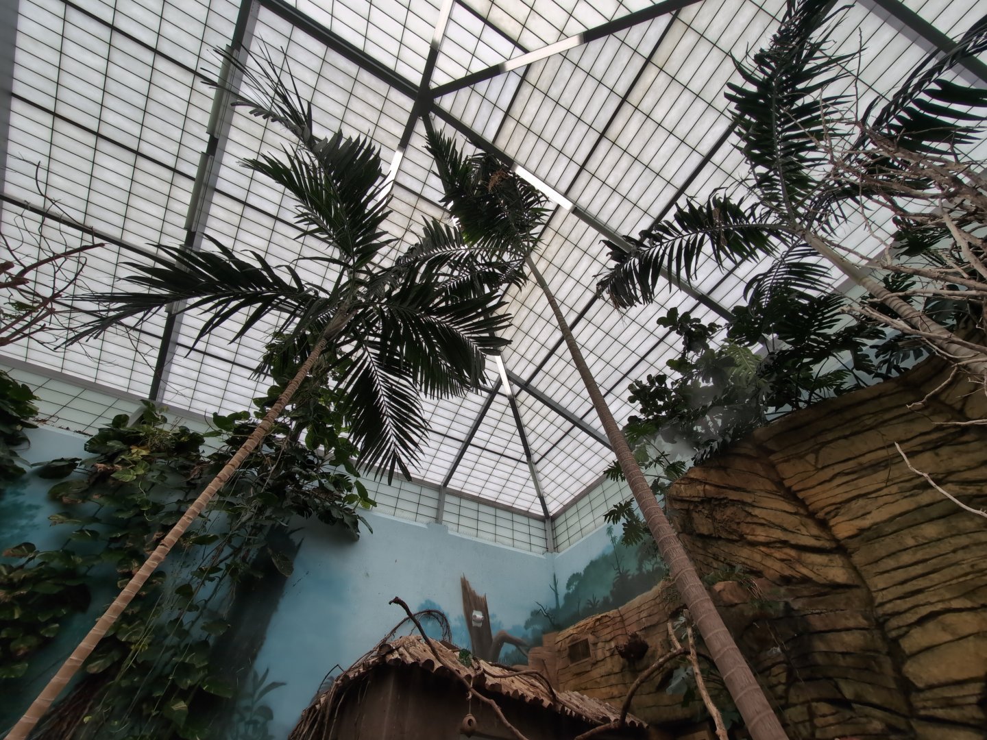 2024-05-15-vilas-aviary-flight-room-06