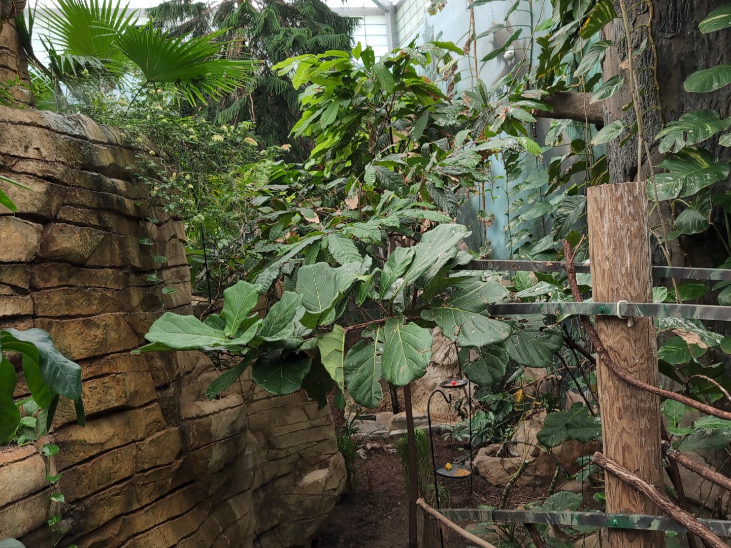 2024-05-15-vilas-aviary-flight-room-07