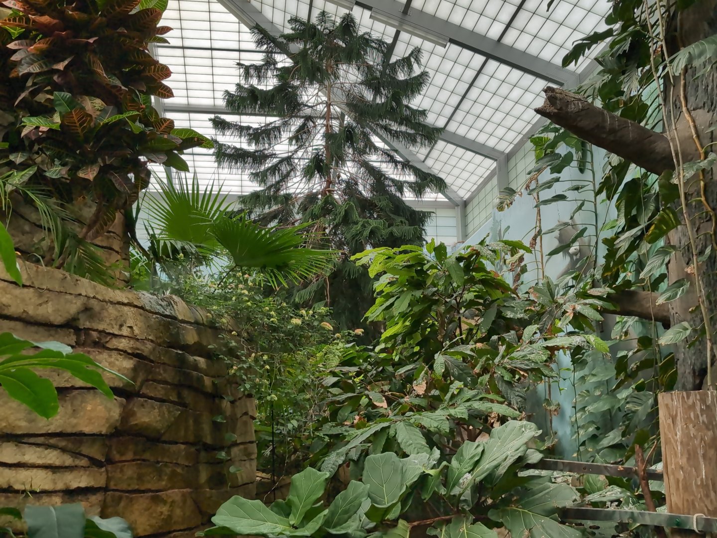 2024-05-15-vilas-aviary-flight-room-08