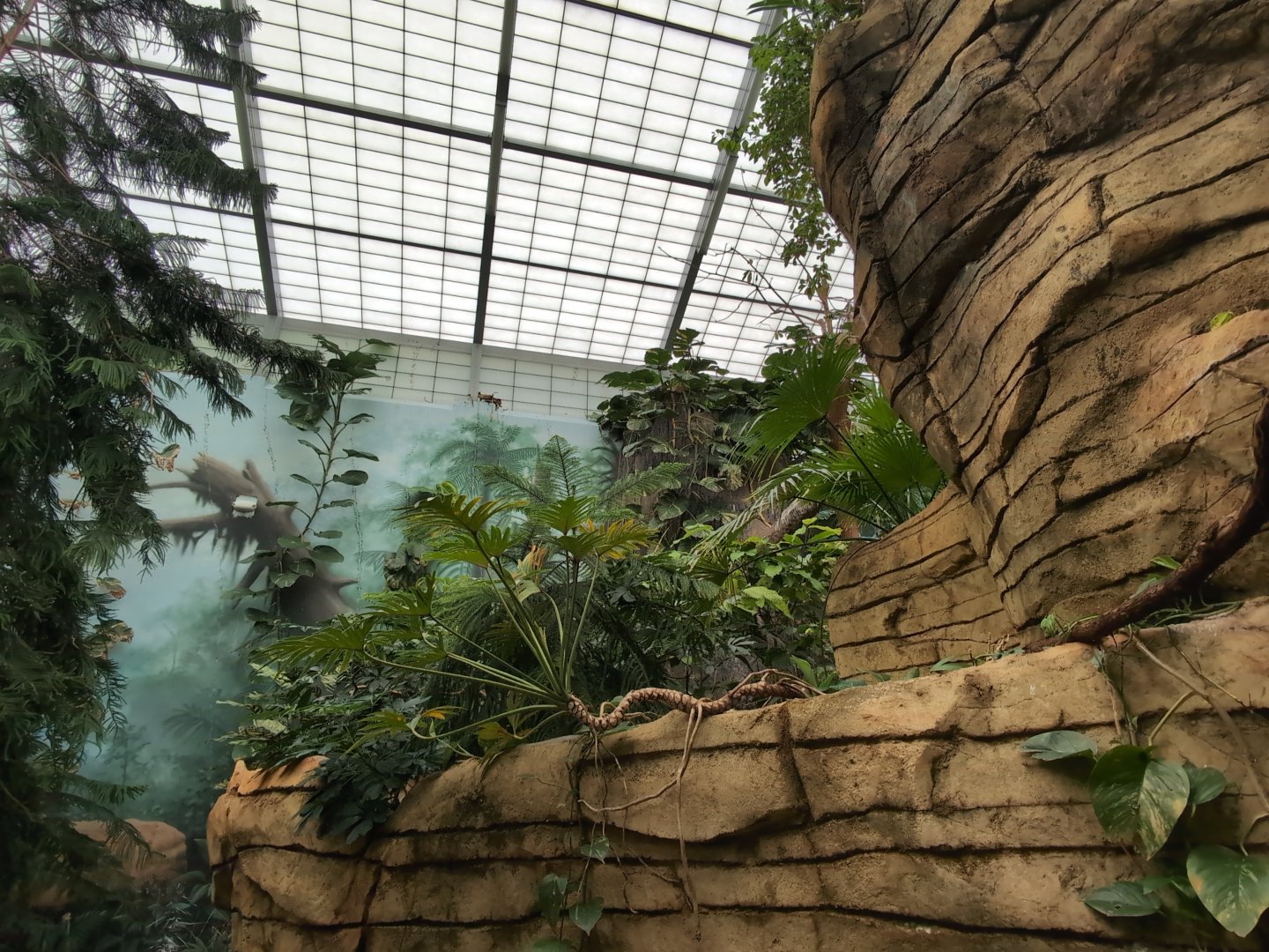 2024-05-15-vilas-aviary-flight-room-09