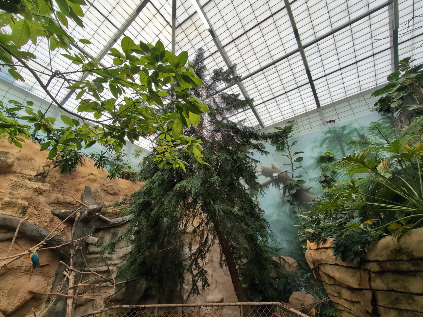 2024-05-15-vilas-aviary-flight-room-10