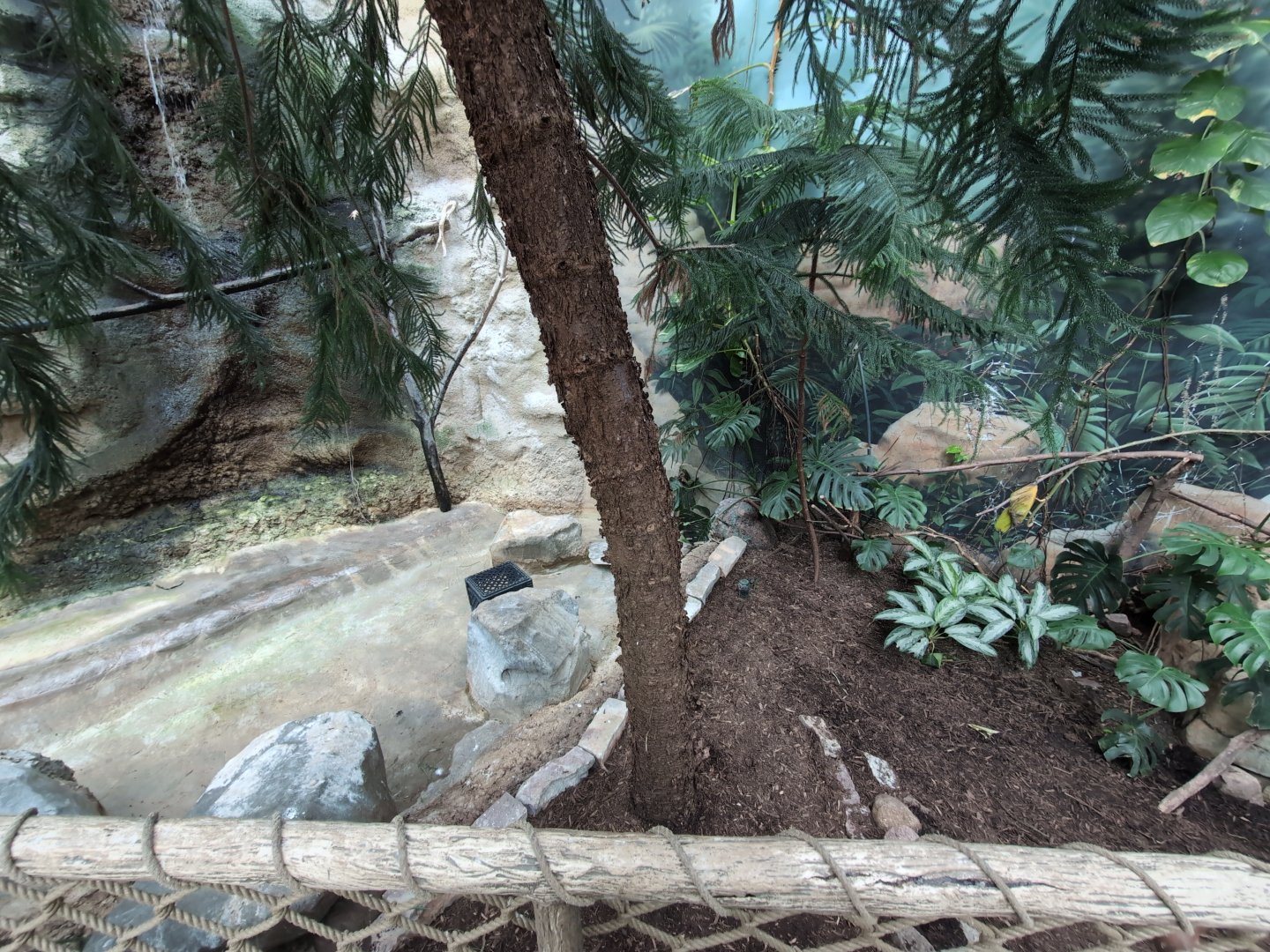 2024-05-15-vilas-aviary-flight-room-12