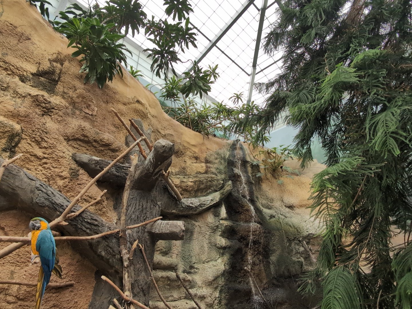 2024-05-15-vilas-aviary-flight-room-14