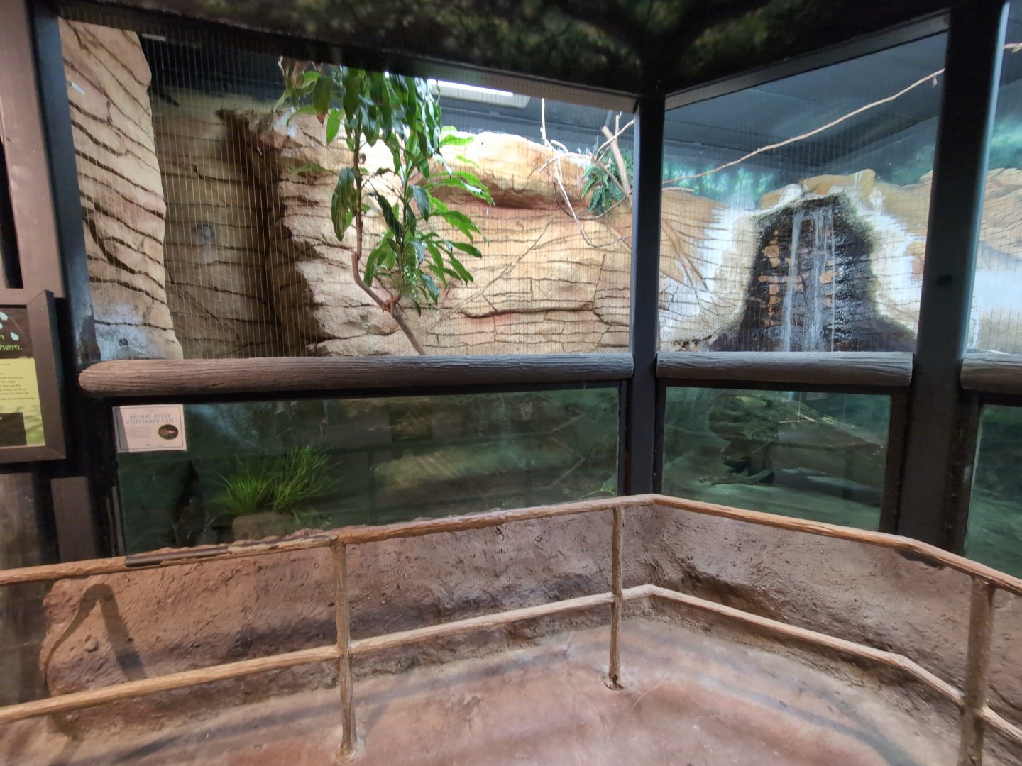 2024-05-15-vilas-aviary-large-habitat-02