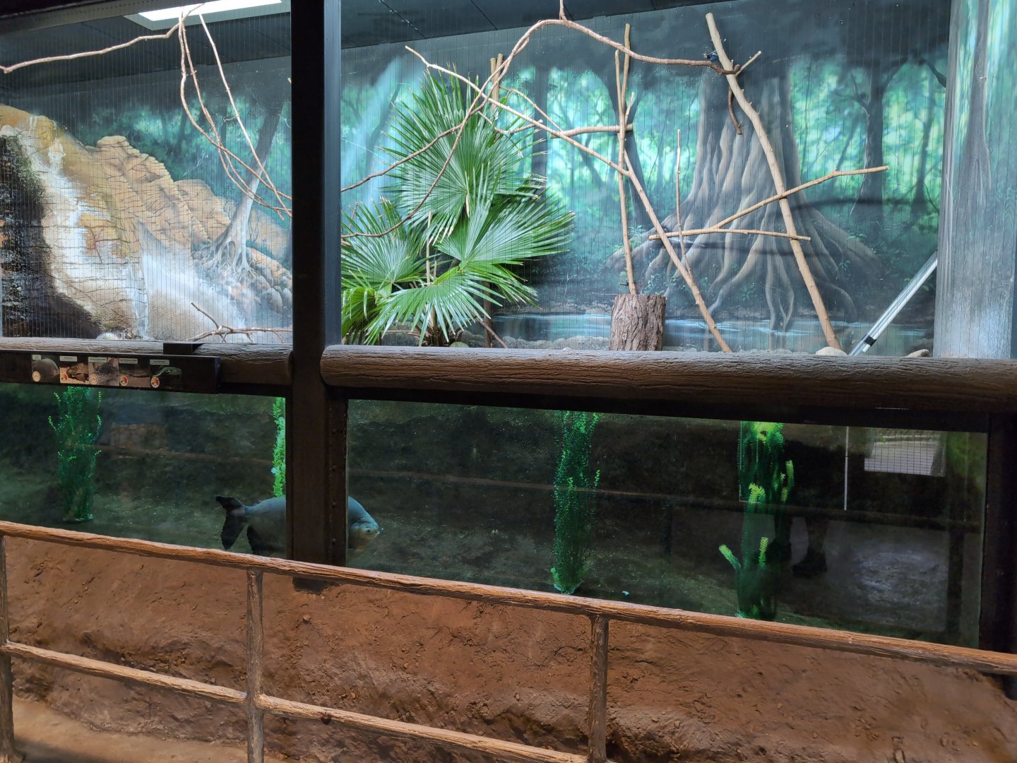 2024-05-15-vilas-aviary-large-habitat-03
