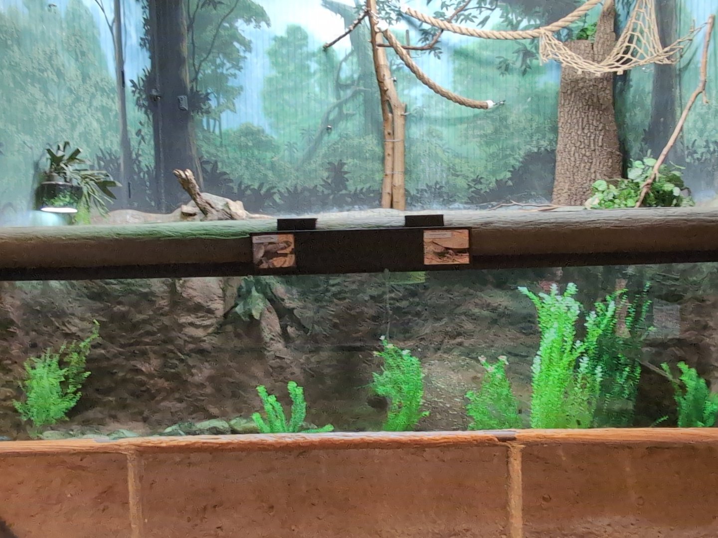 2024-05-15-vilas-aviary-small-habitat-02