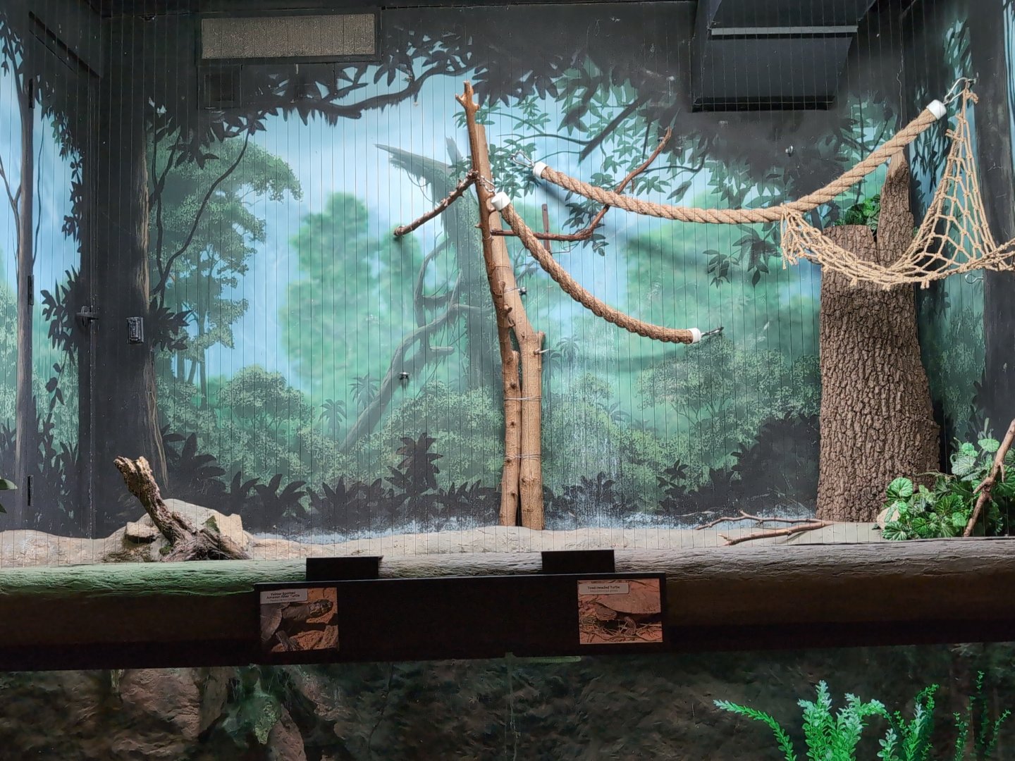 2024-05-15-vilas-aviary-small-habitat-03