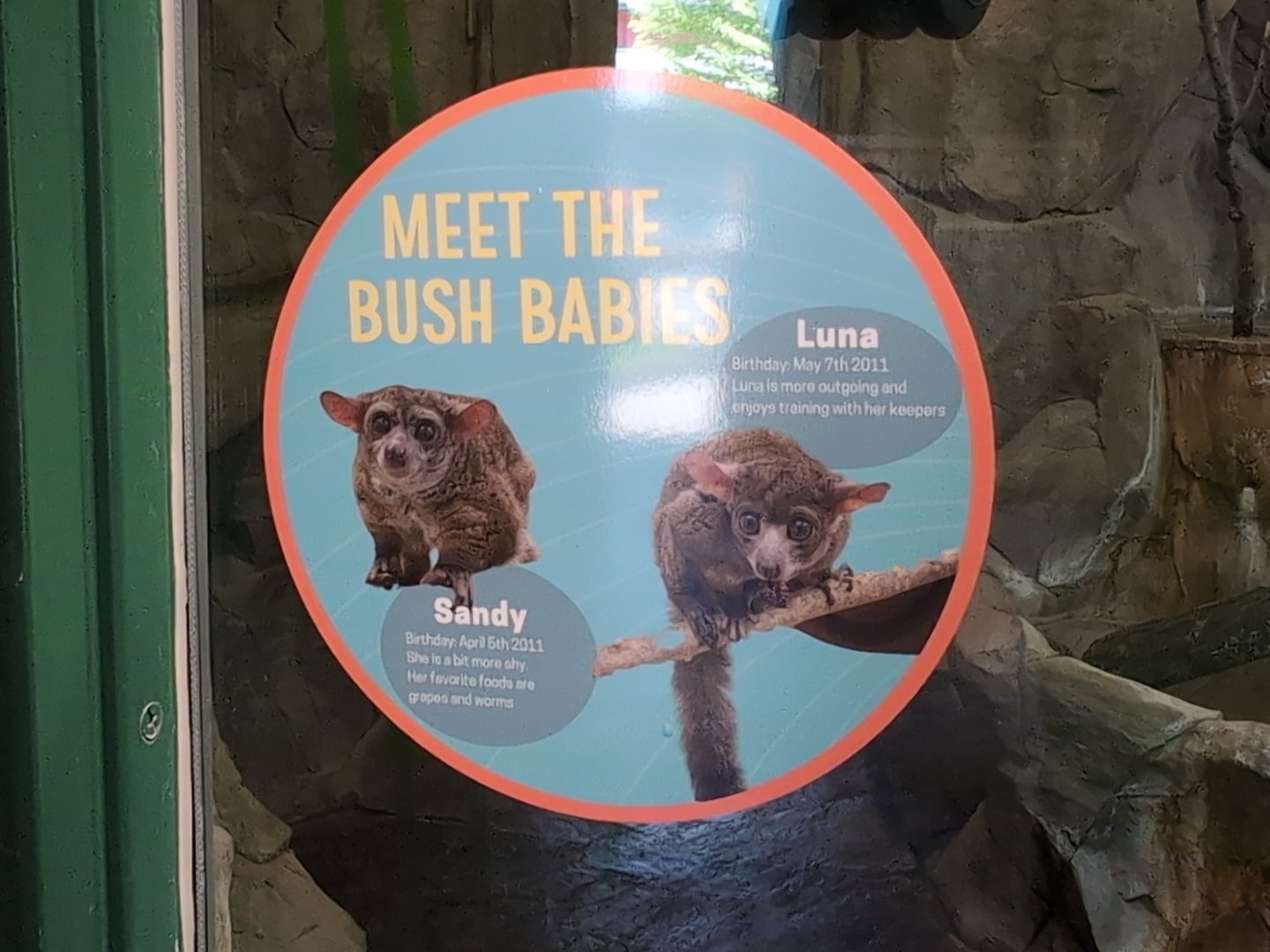 2024-05-15-vilas-galago-signage-01