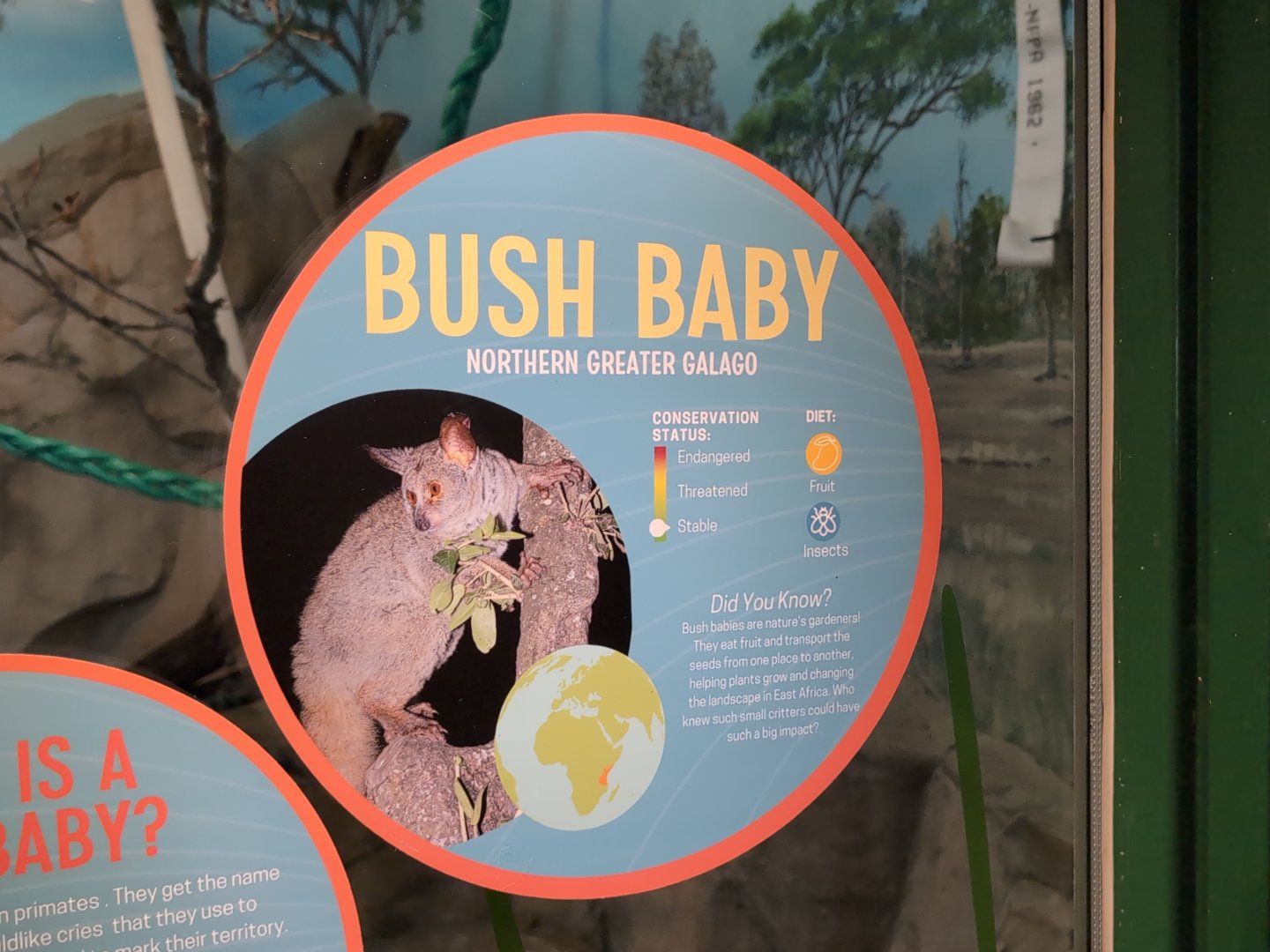 2024-05-15-vilas-galago-signage-02