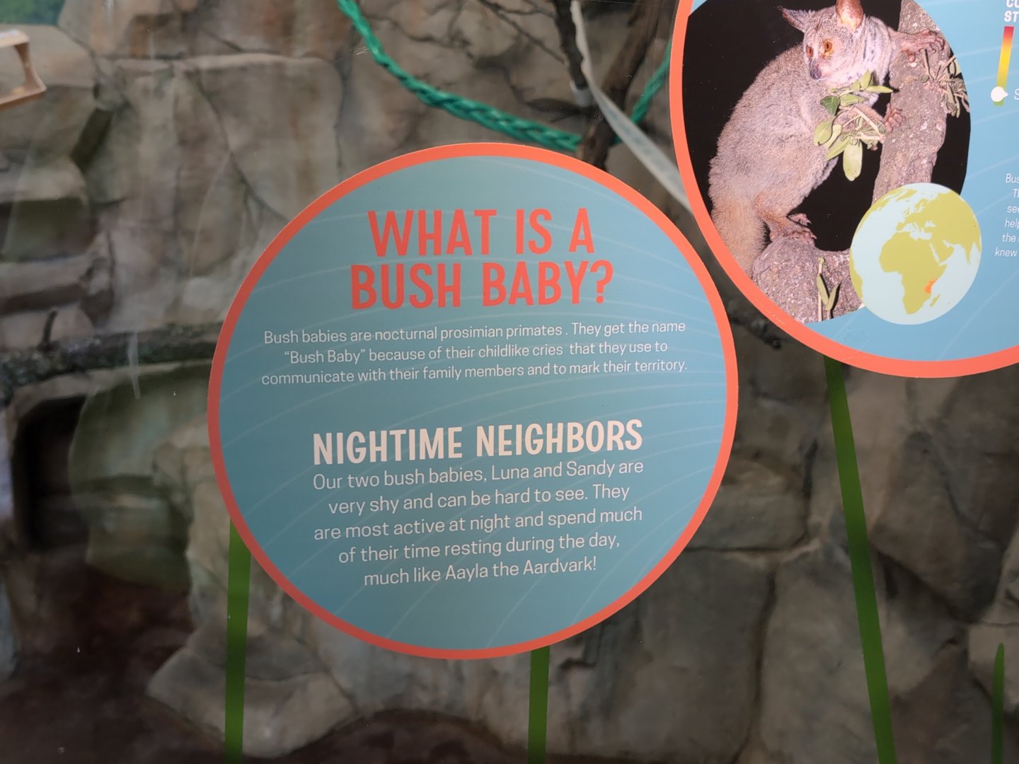 2024-05-15-vilas-galago-signage-03