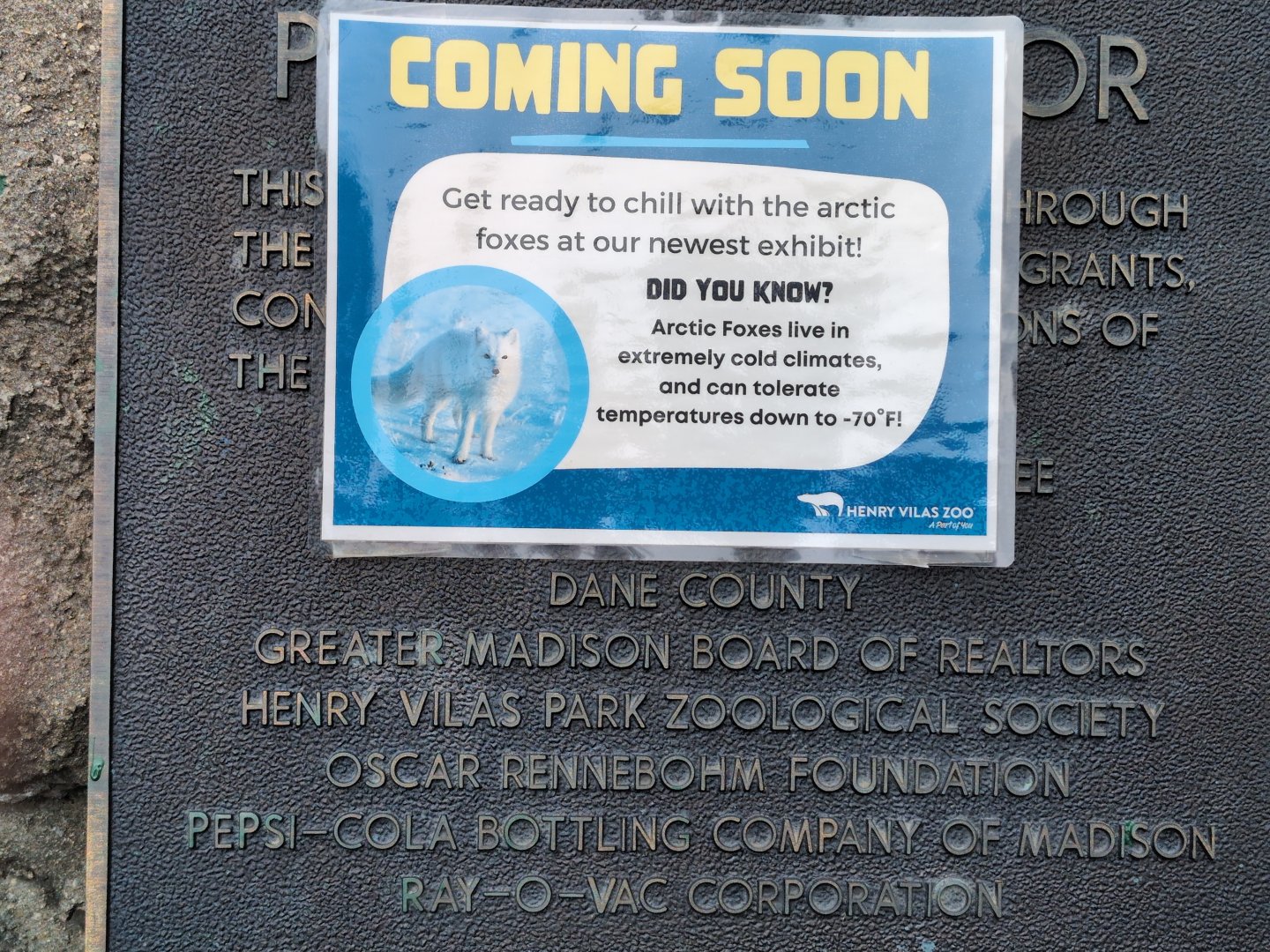 2024-07-09-vilas-arctic-fox-info-03