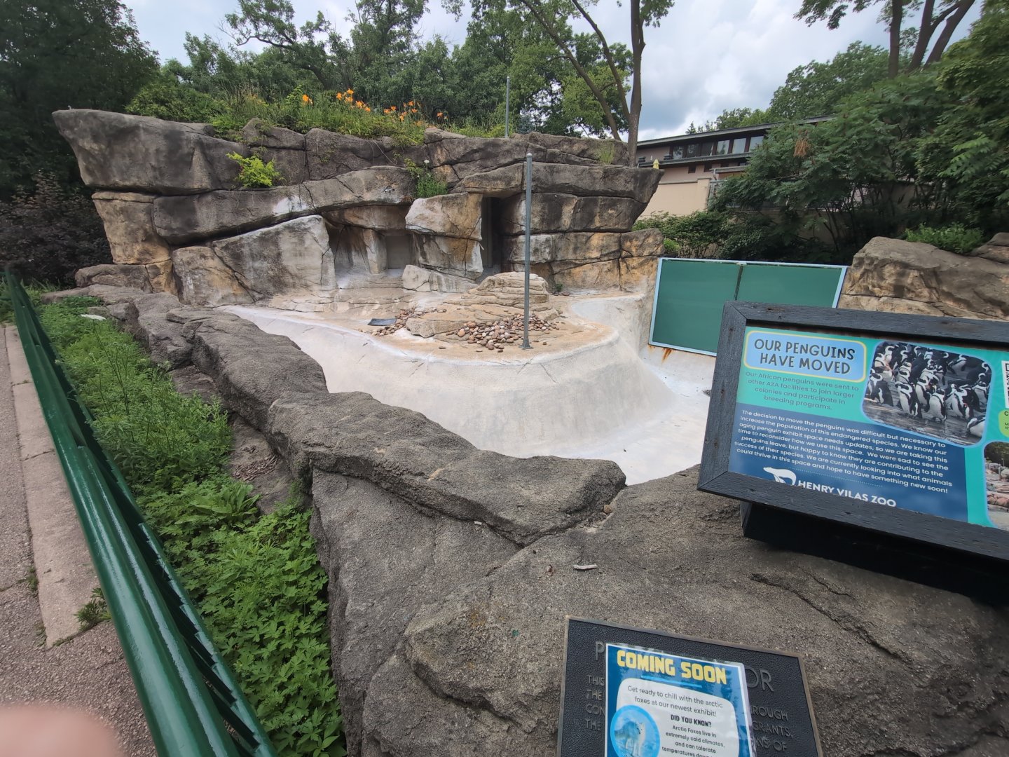 2024-07-09-vilas-arctic-fox-info-04