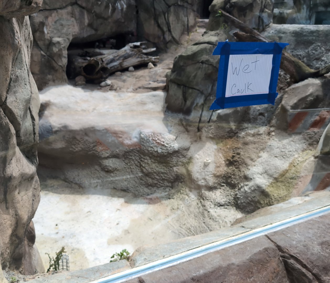 2024-07-09-vilas-otter-01