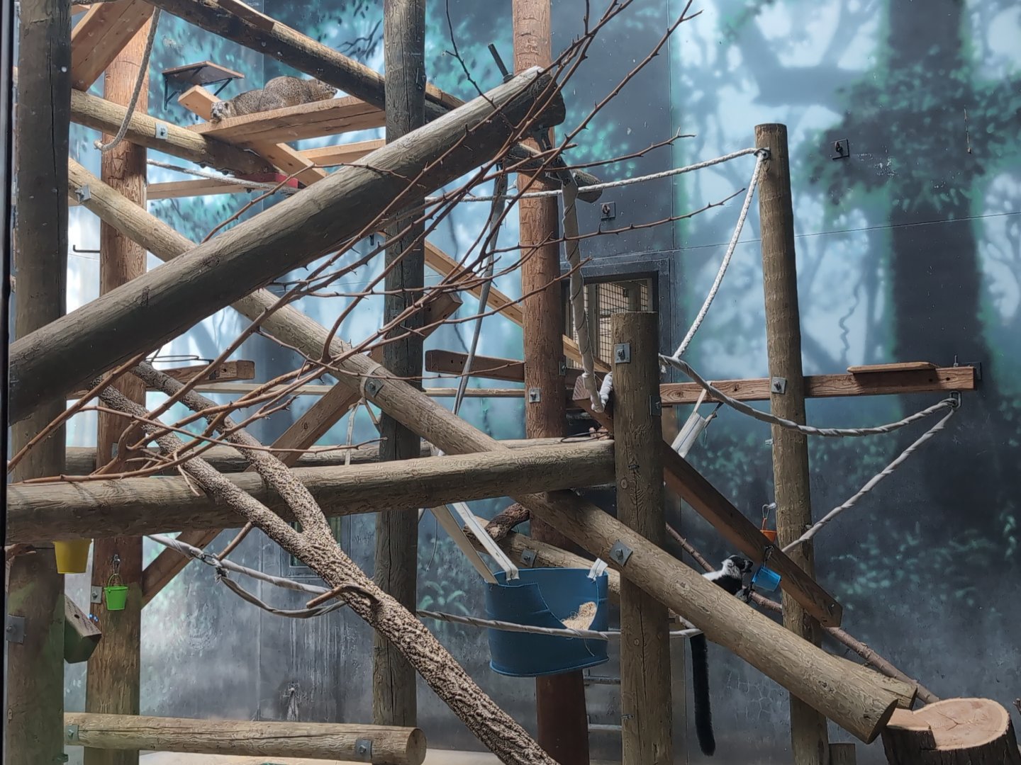 2024-07-09-vilas-primates-01