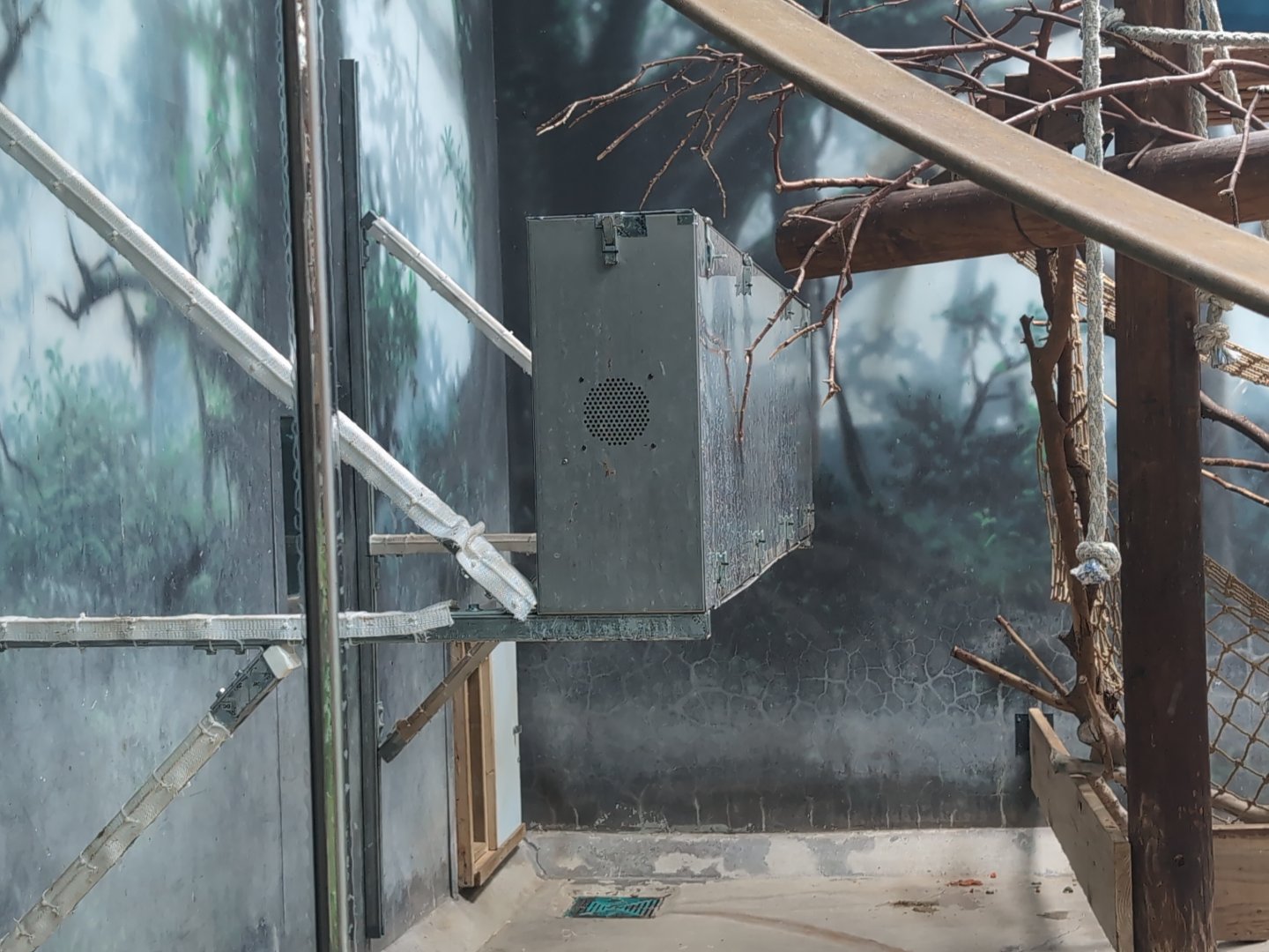 2024-07-09-vilas-primates-03