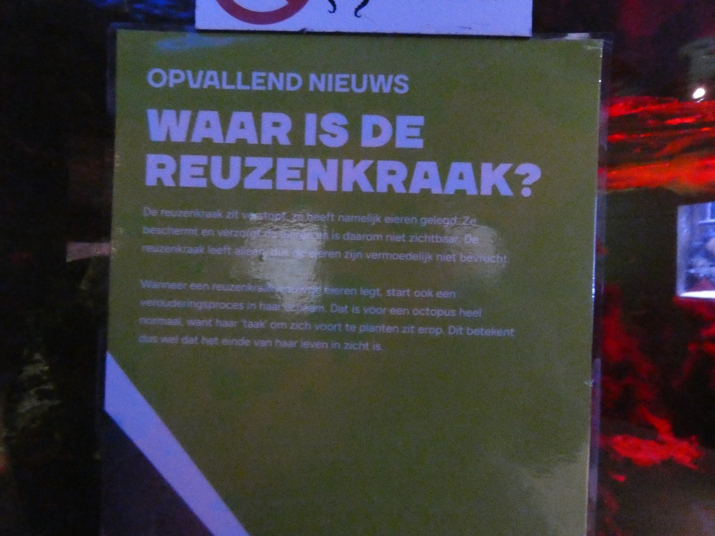 2025 09 - Signing Giant Pacific Octopus