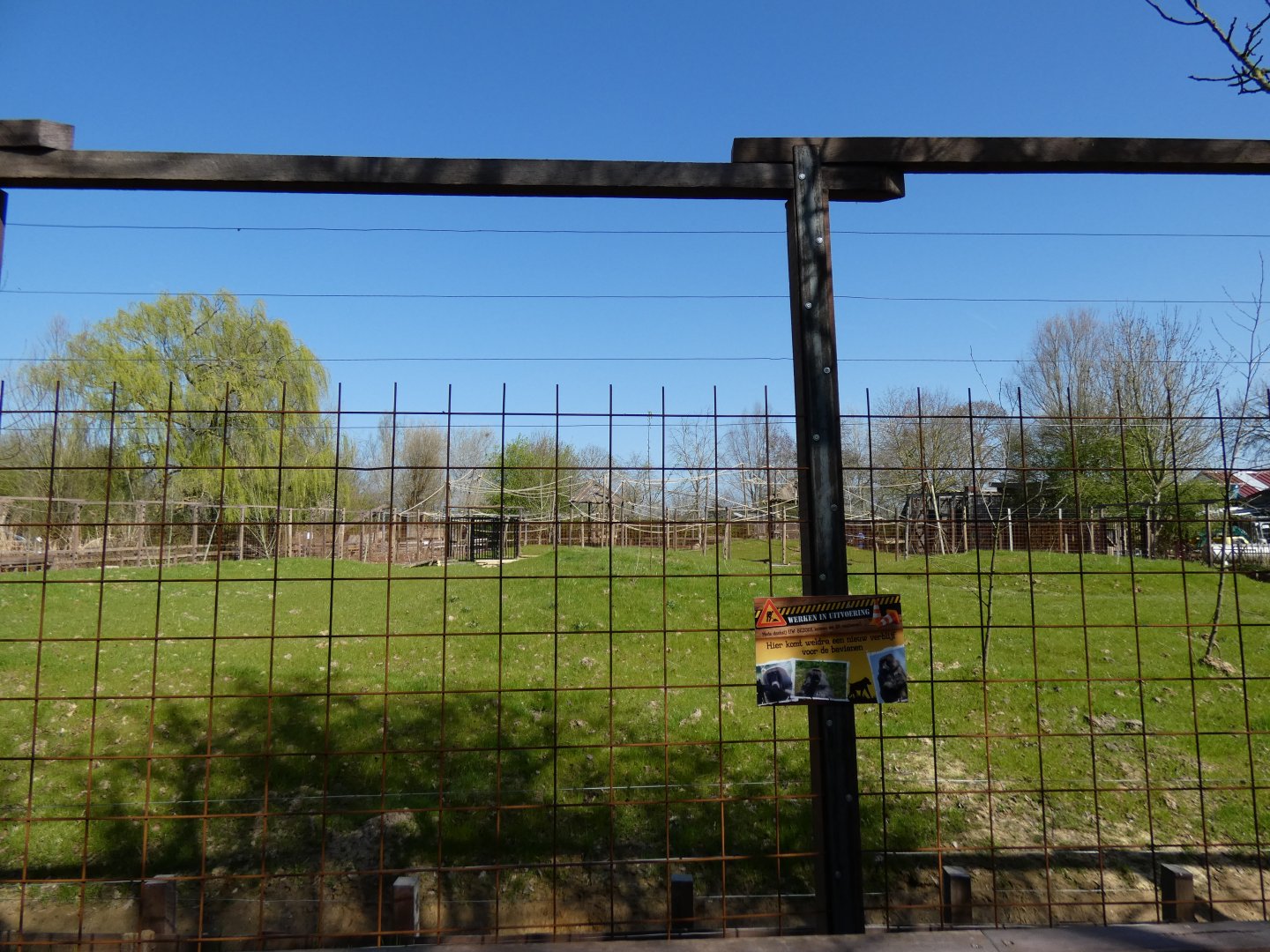 202503 - New olive baboon enclosure, work in progress