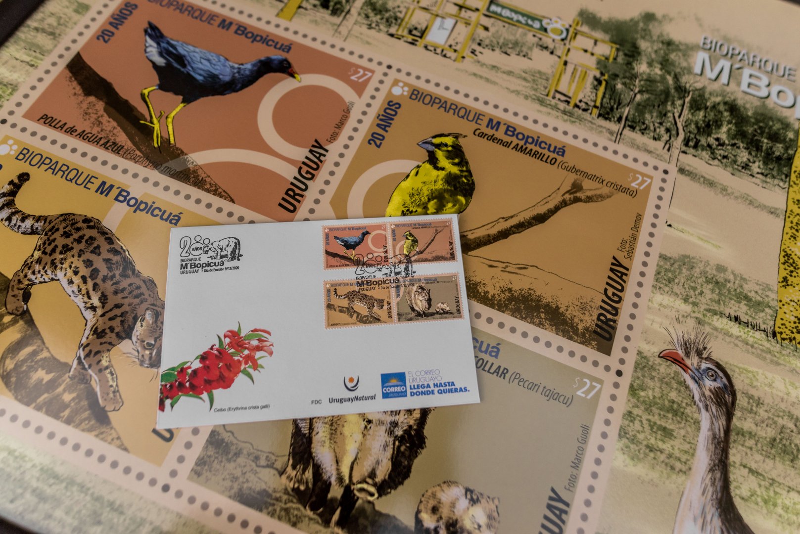 20th anniversary of the M’Bopicua Biopark