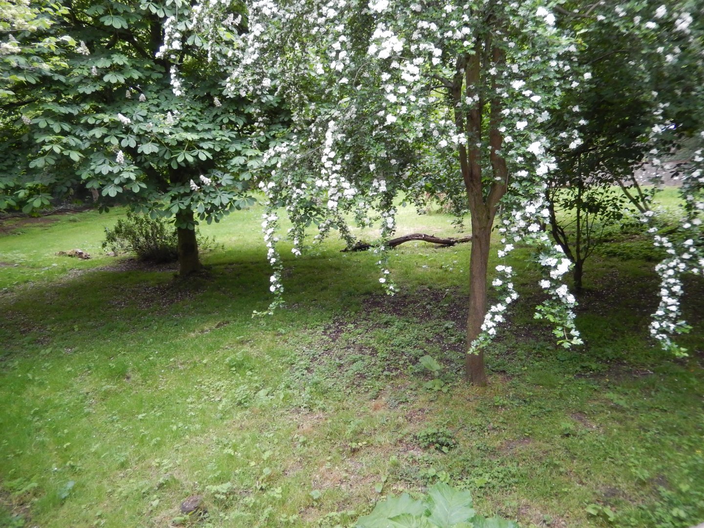 21/5/2017 - African Wild Dog Habitat