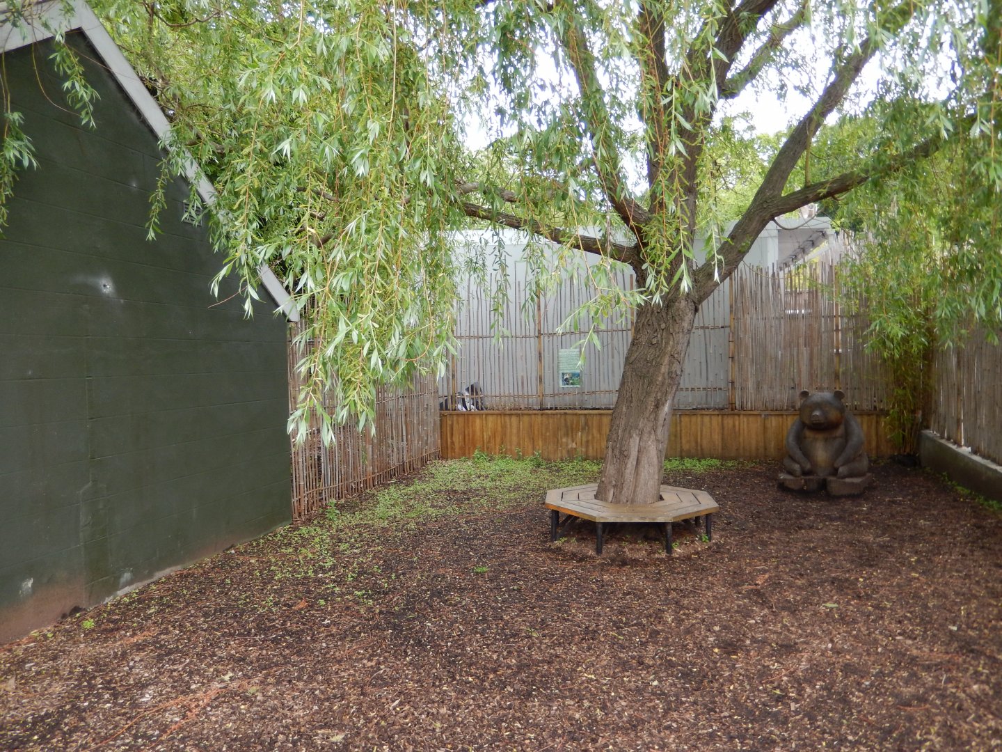 21/5/2017 - Bamboo Plaza