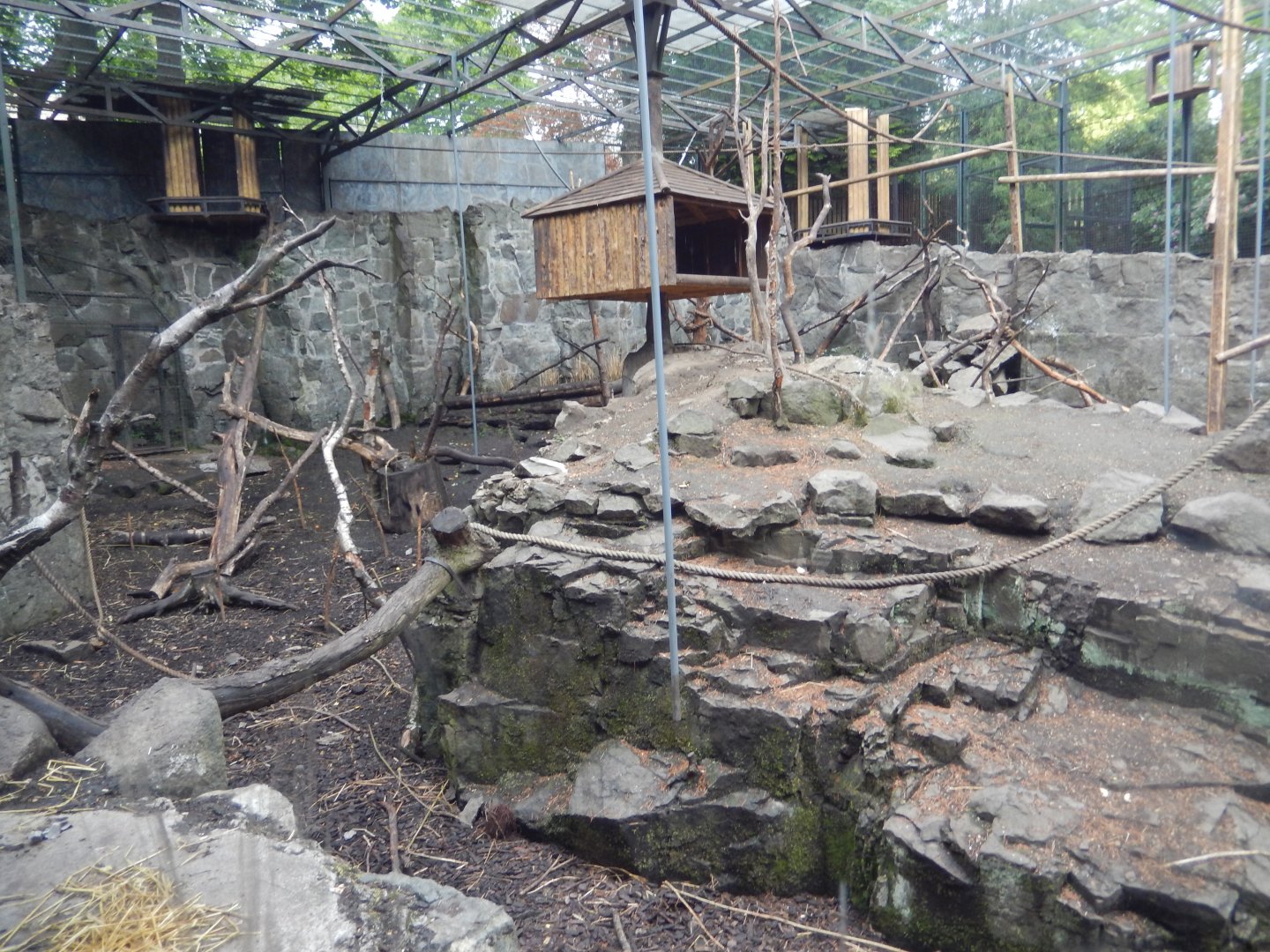 21/5/2017 - Barbary Macaque Exhibit