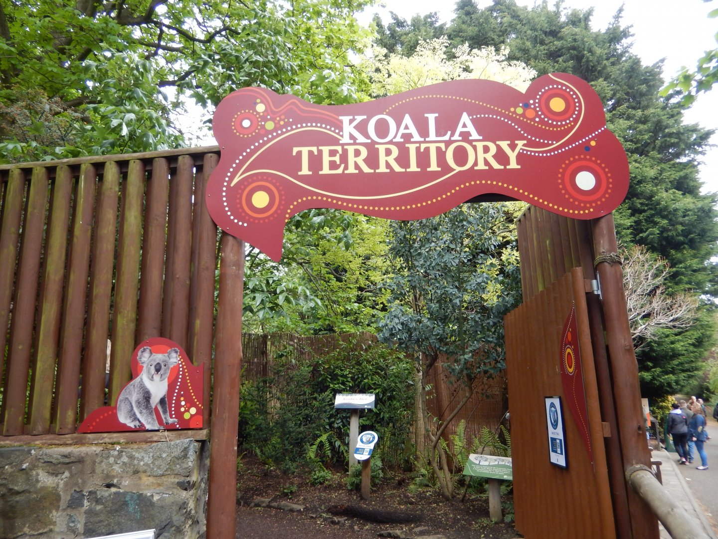 21/5/2017 - Entering Koala Territory