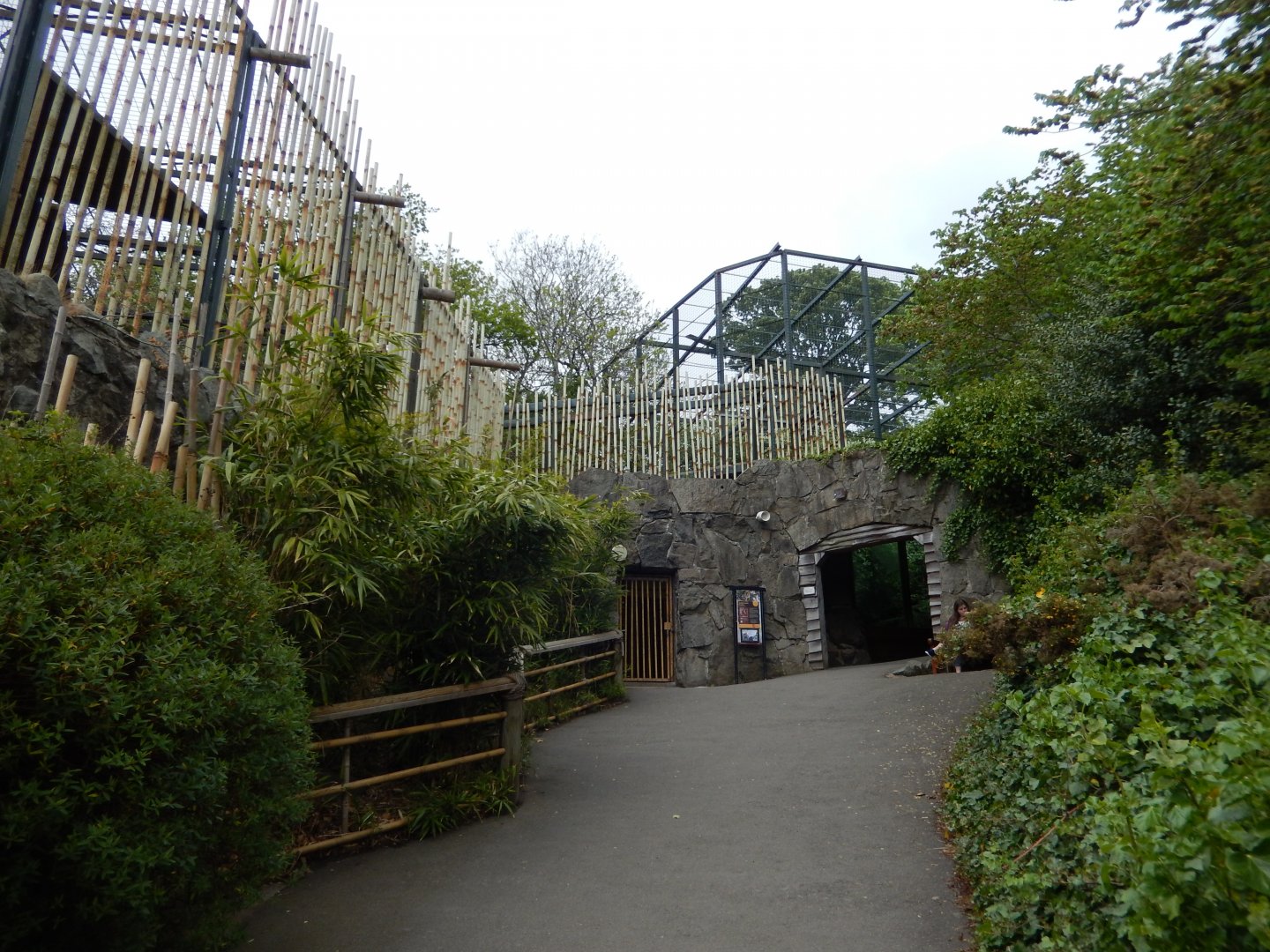 21/5/2017 - Entering Tiger Tracks - Lower Area