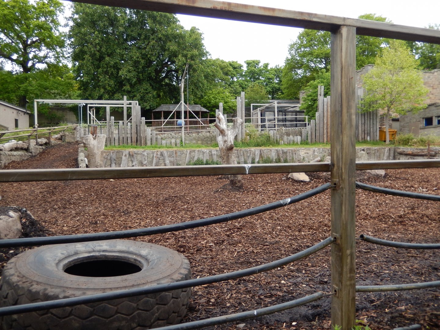 21/5/2017 - Indian Rhino Exhibit (Lower Level)