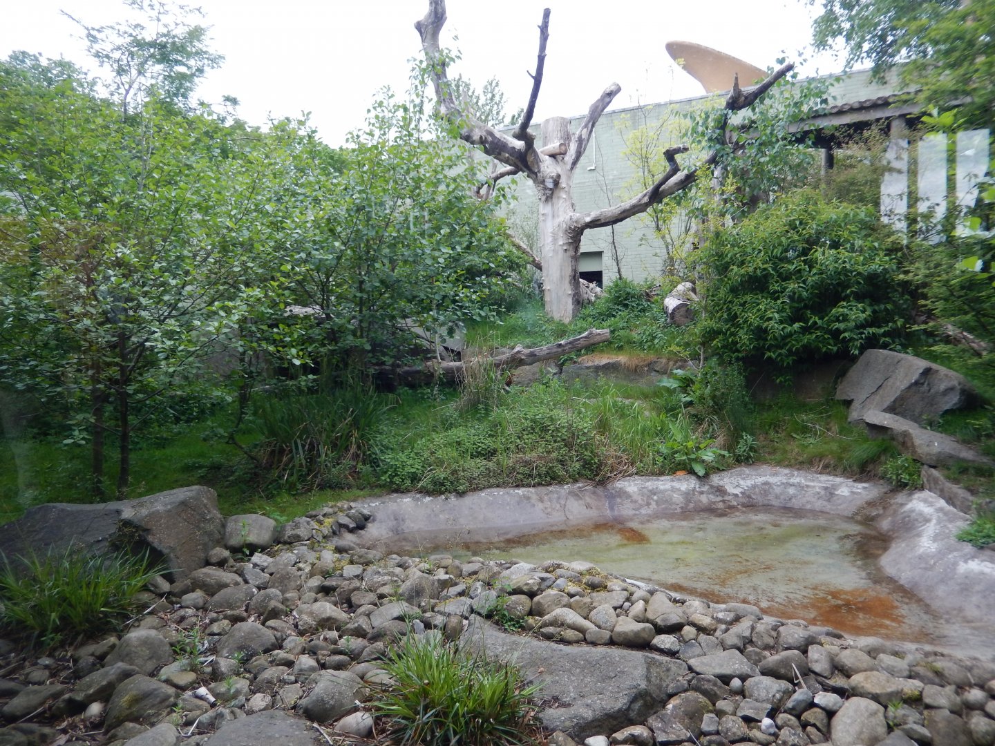 21/5/2017 - Tian Tian's Exhibit