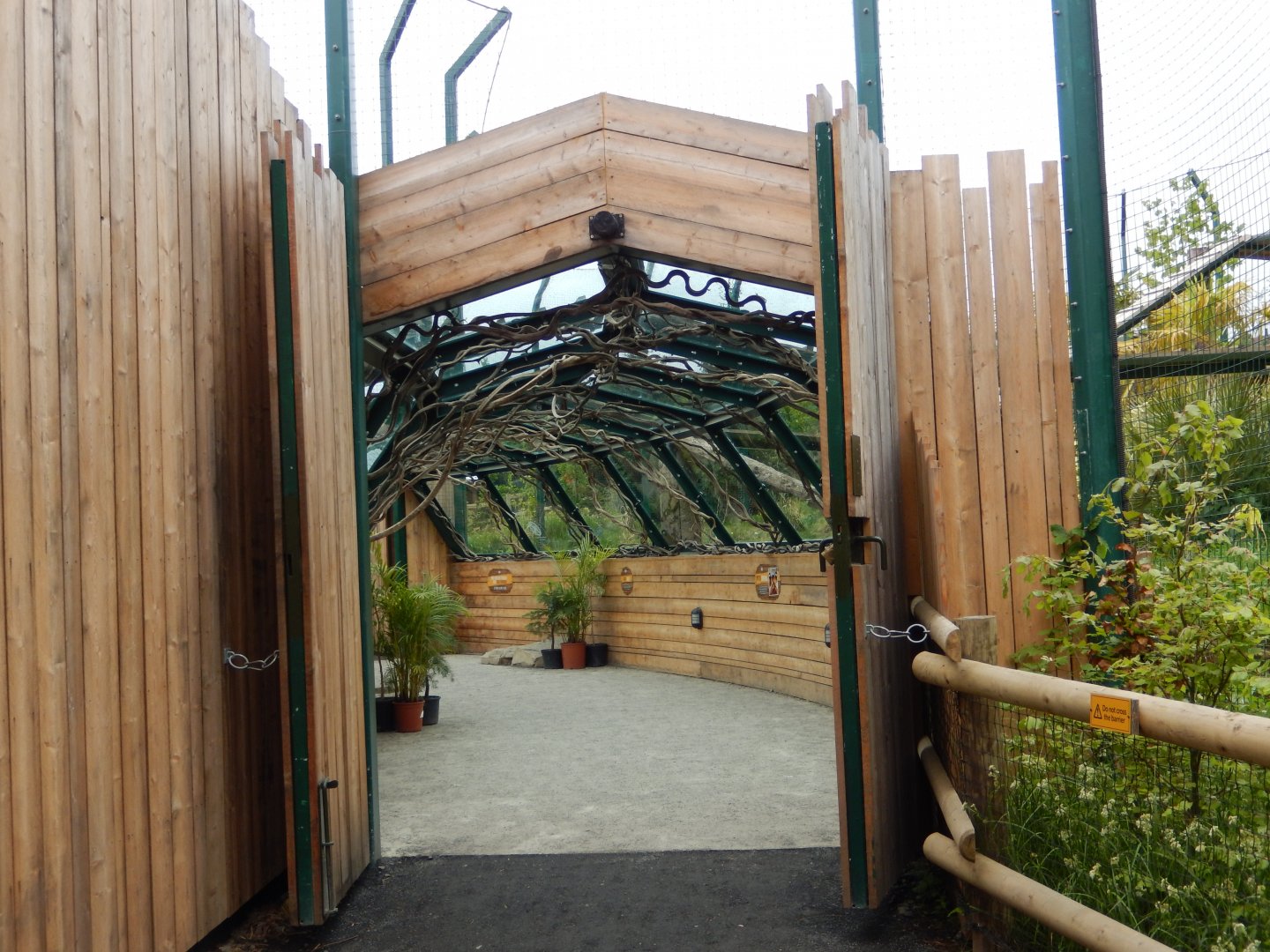 21/5/2017 - Tiger Tracks - Glass Tunnel