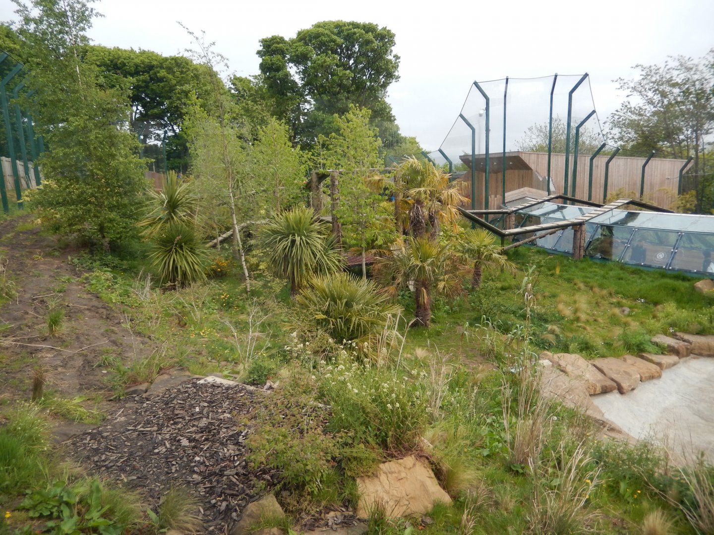 21/5/2017 - Tiger Tracks - Newer Exhibit