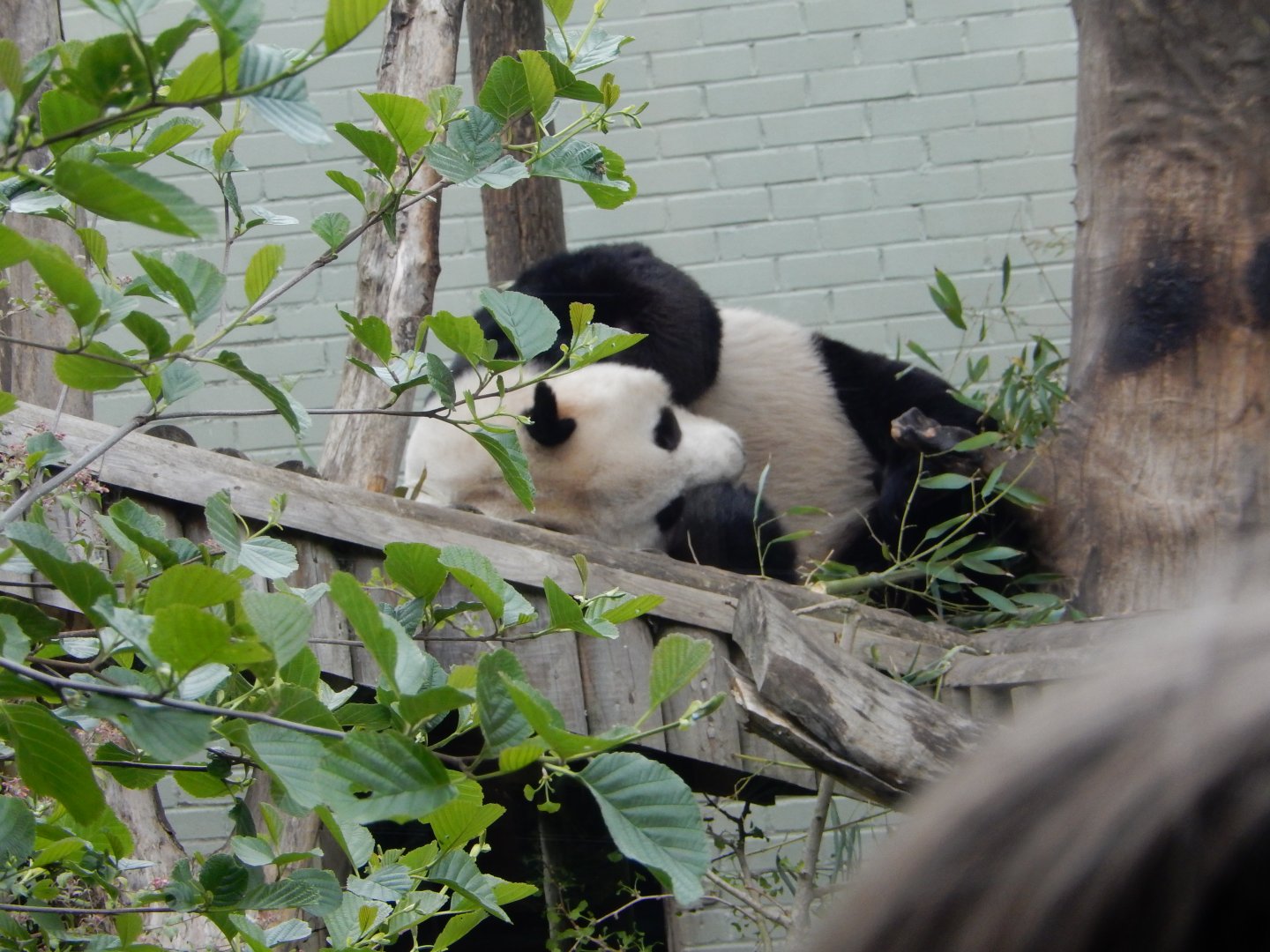 21/5/2017 - Who Goes There?!