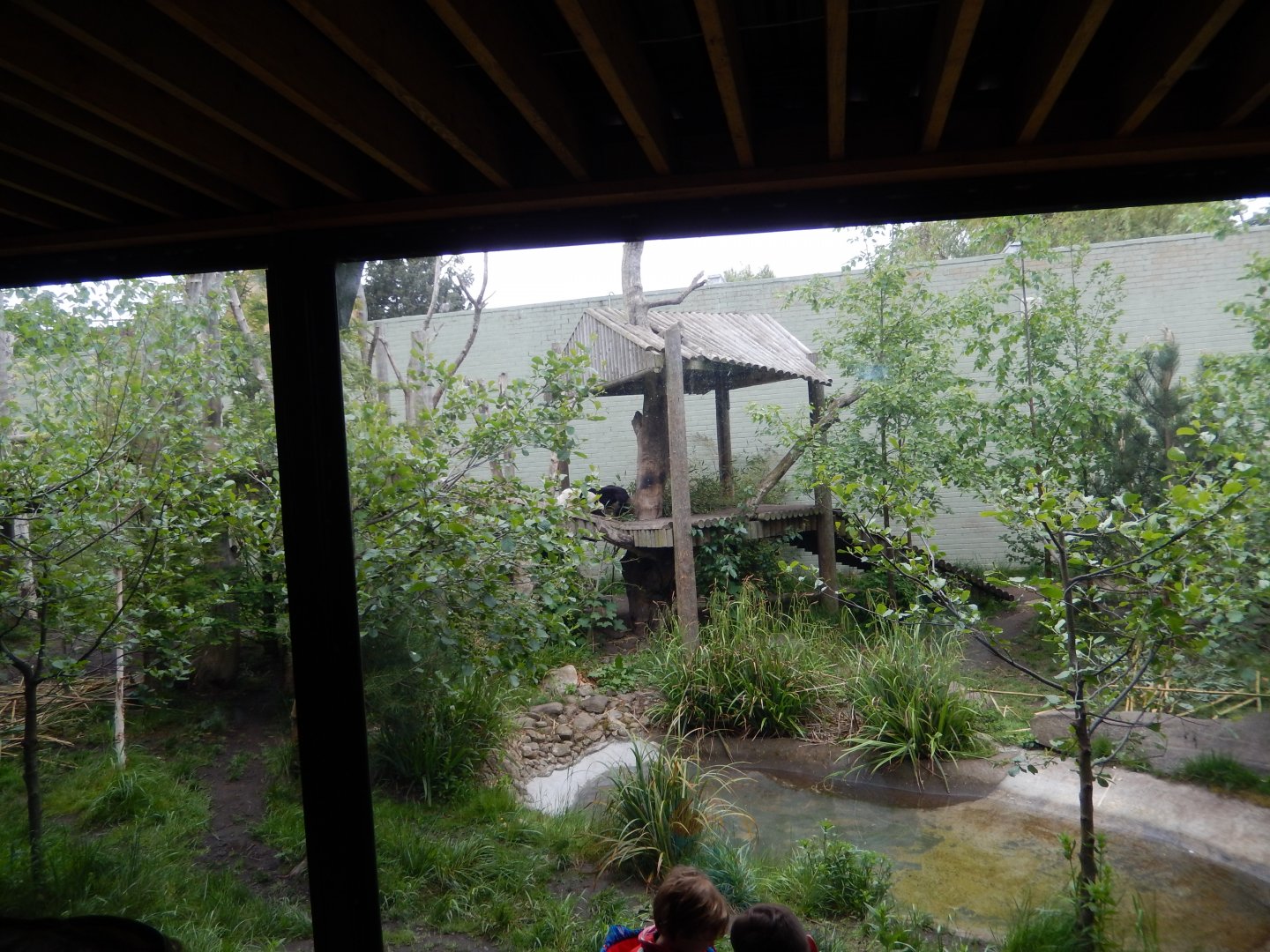 21/5/2017 - Yang Guang's Exhibit