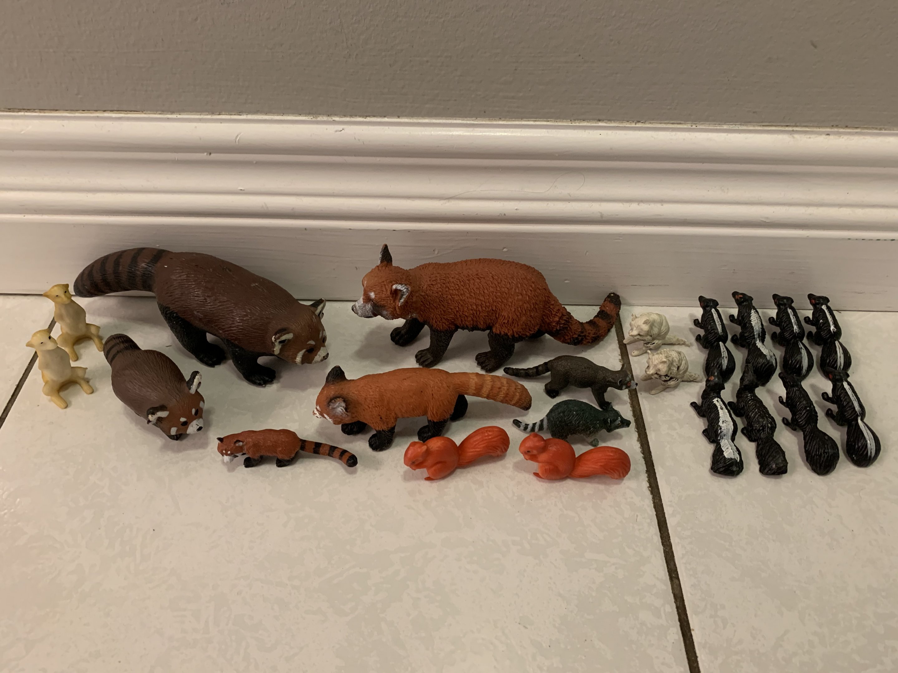 21 Meerkats + Red Pandas + Raccoons + Skunks