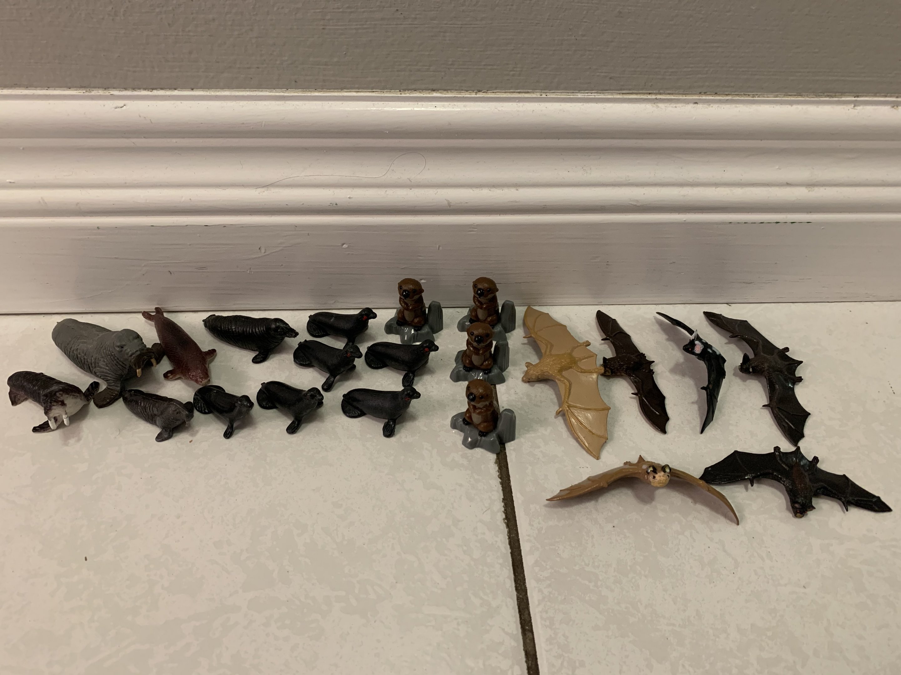 21 Pinnipeds + Otters + Bats