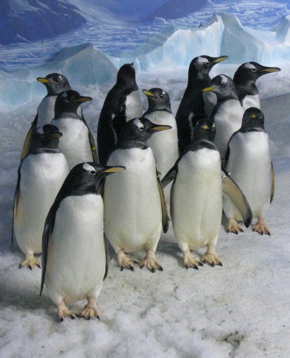 230990 198114990232429 193114804065781 517651 5976 239 n