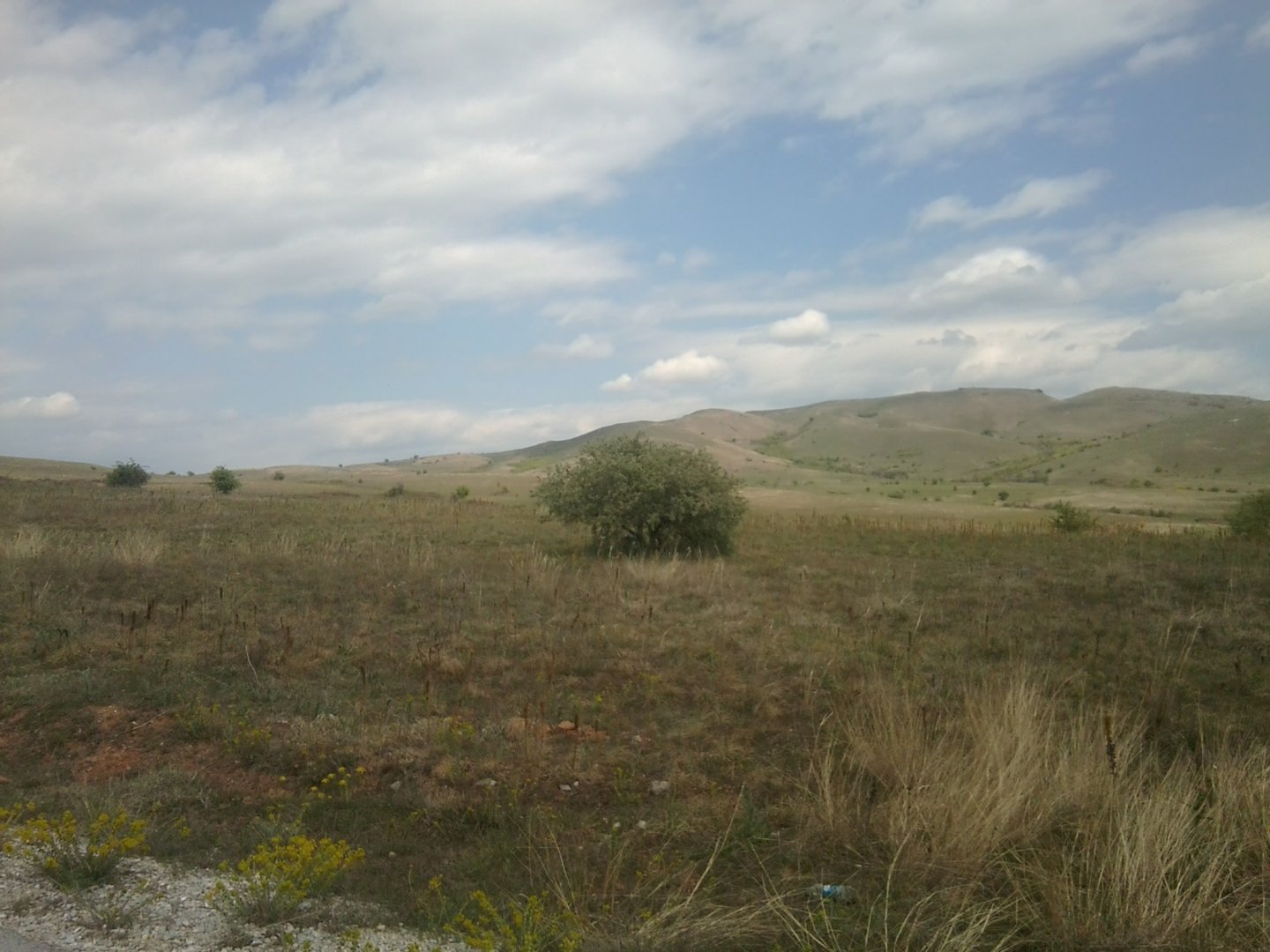 23th April, 650 m above sea level