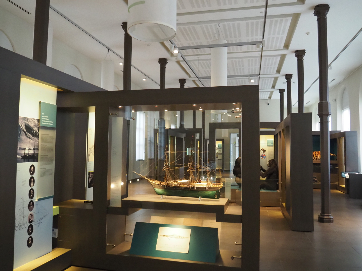 '250 Years of Natural History' permanent exhibition, 2019-12-03