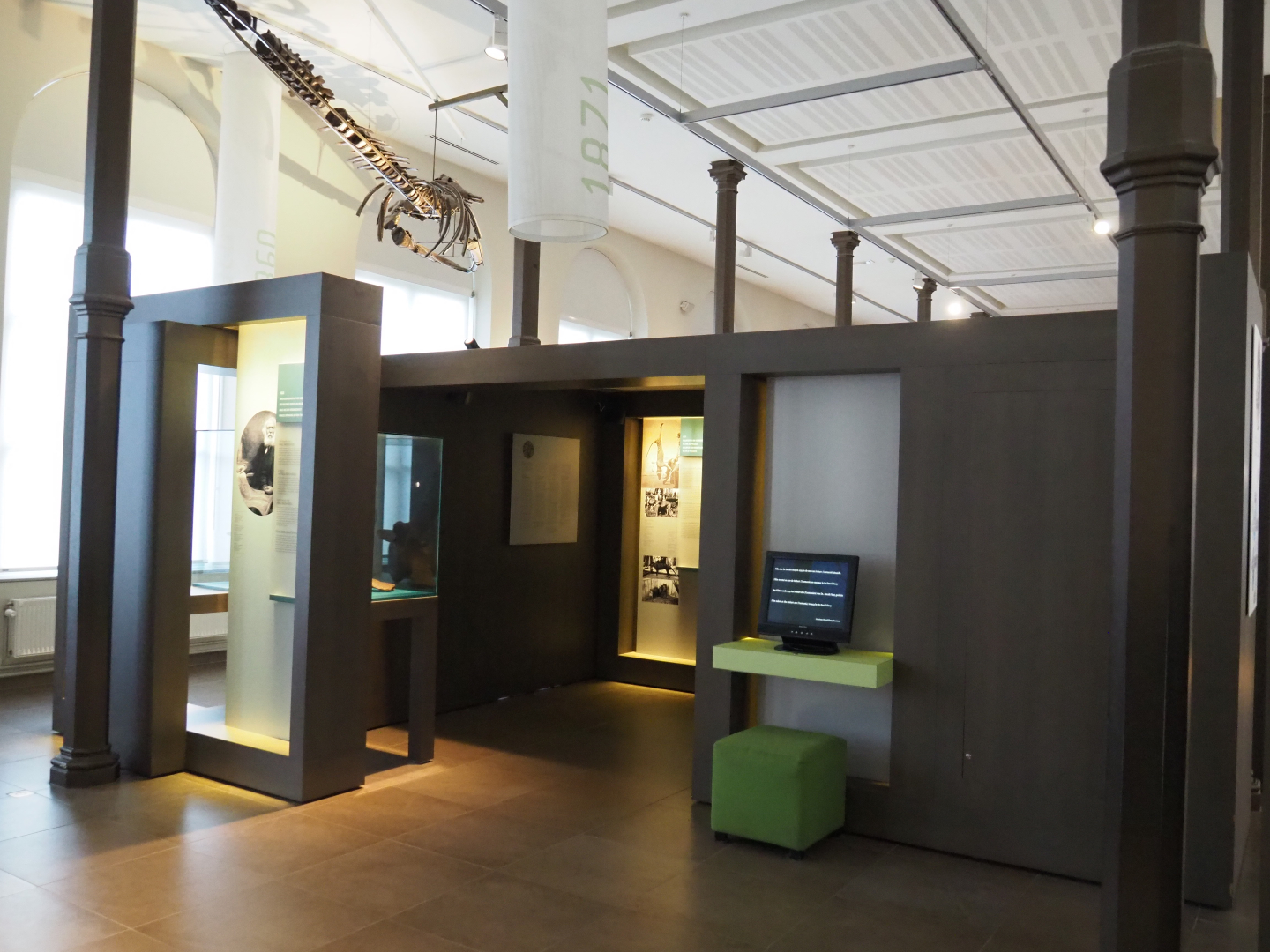 '250 Years of Natural History' permanent exhibition, 2019-12-03