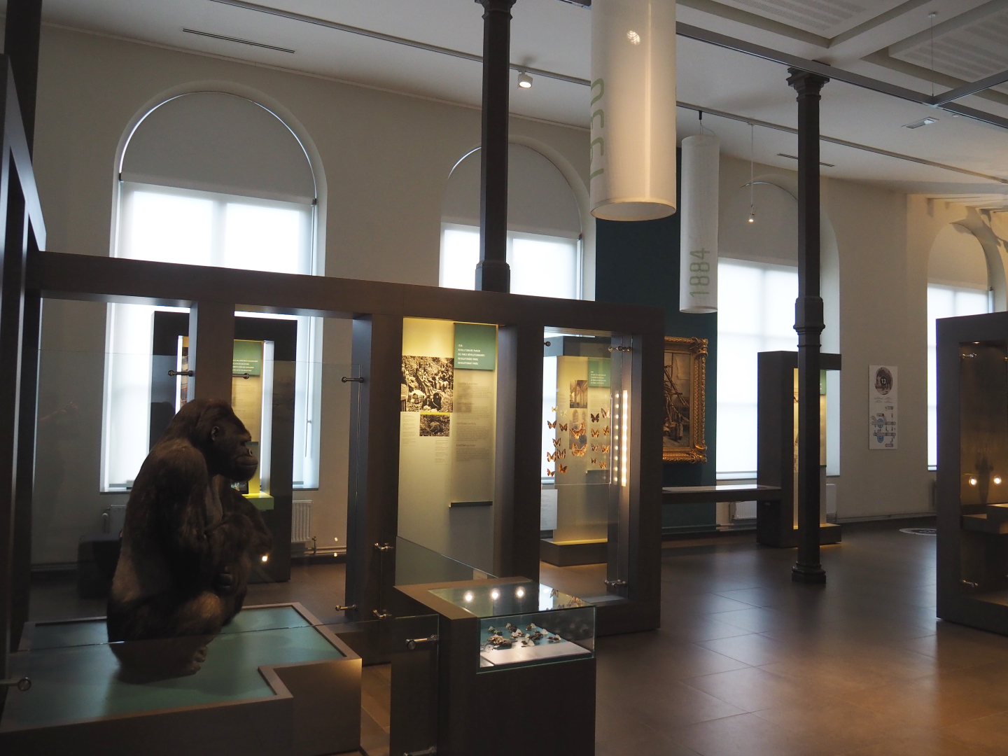 '250 Years of Natural History' permanent exhibition, 2019-12-03