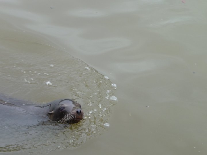 25021 109502159067012 100000216855305 262160 59370 5 n